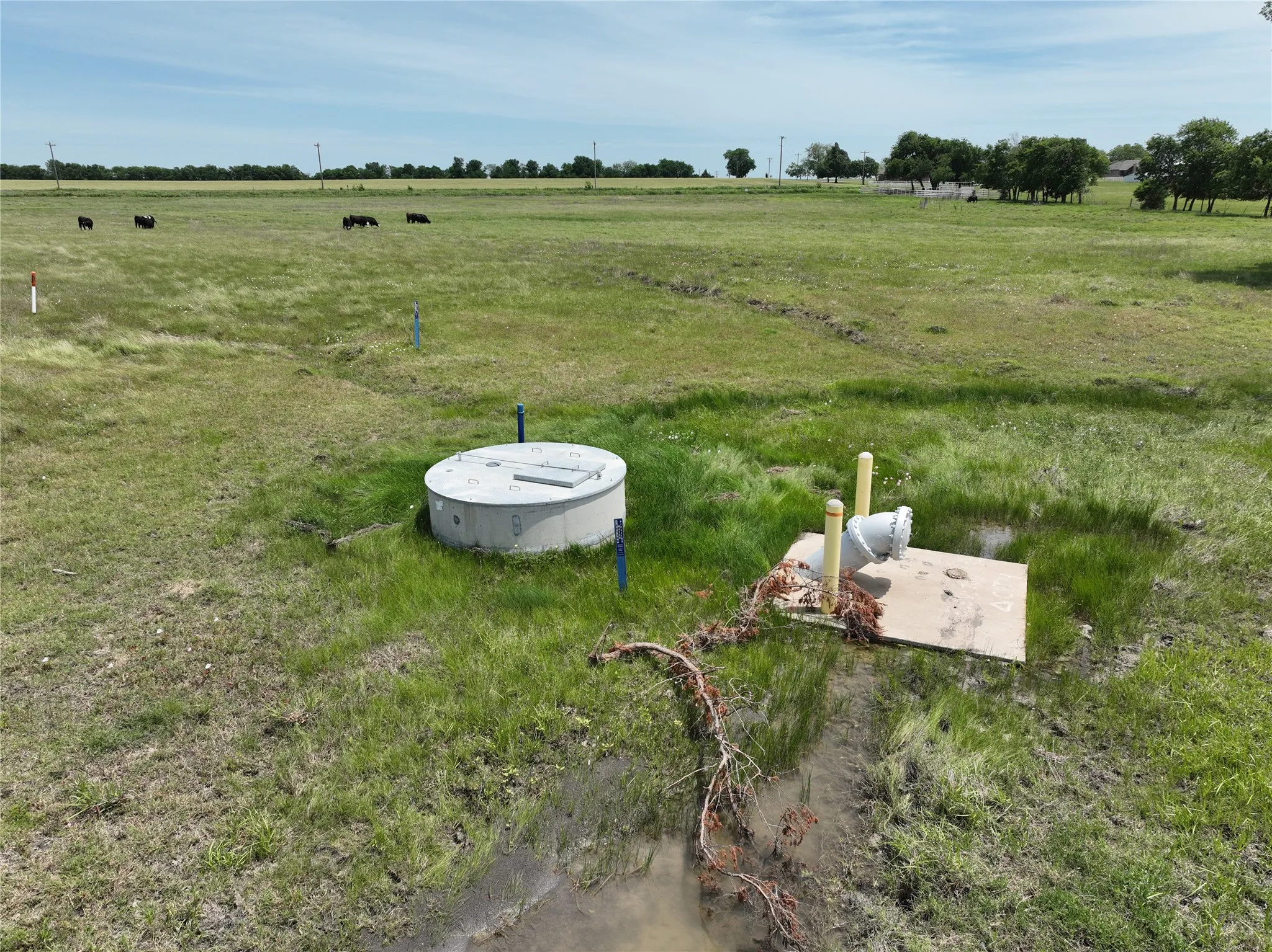Unimproved Land For Sale in Fannin County , TBD Tract 4 County Road 4830, Leonard, Texas 75452, 0, 0, Garage spaces, 0 Sqft, built in 0, mls#21290792, Real Estate Agent in Leonard, Homes For Sale in Fannin county, Homes For Sale in Leonard, Realtor in Leonard Texas, Real Estate Brokerage Independent Realty Texas, Luminita Cordes Realtor