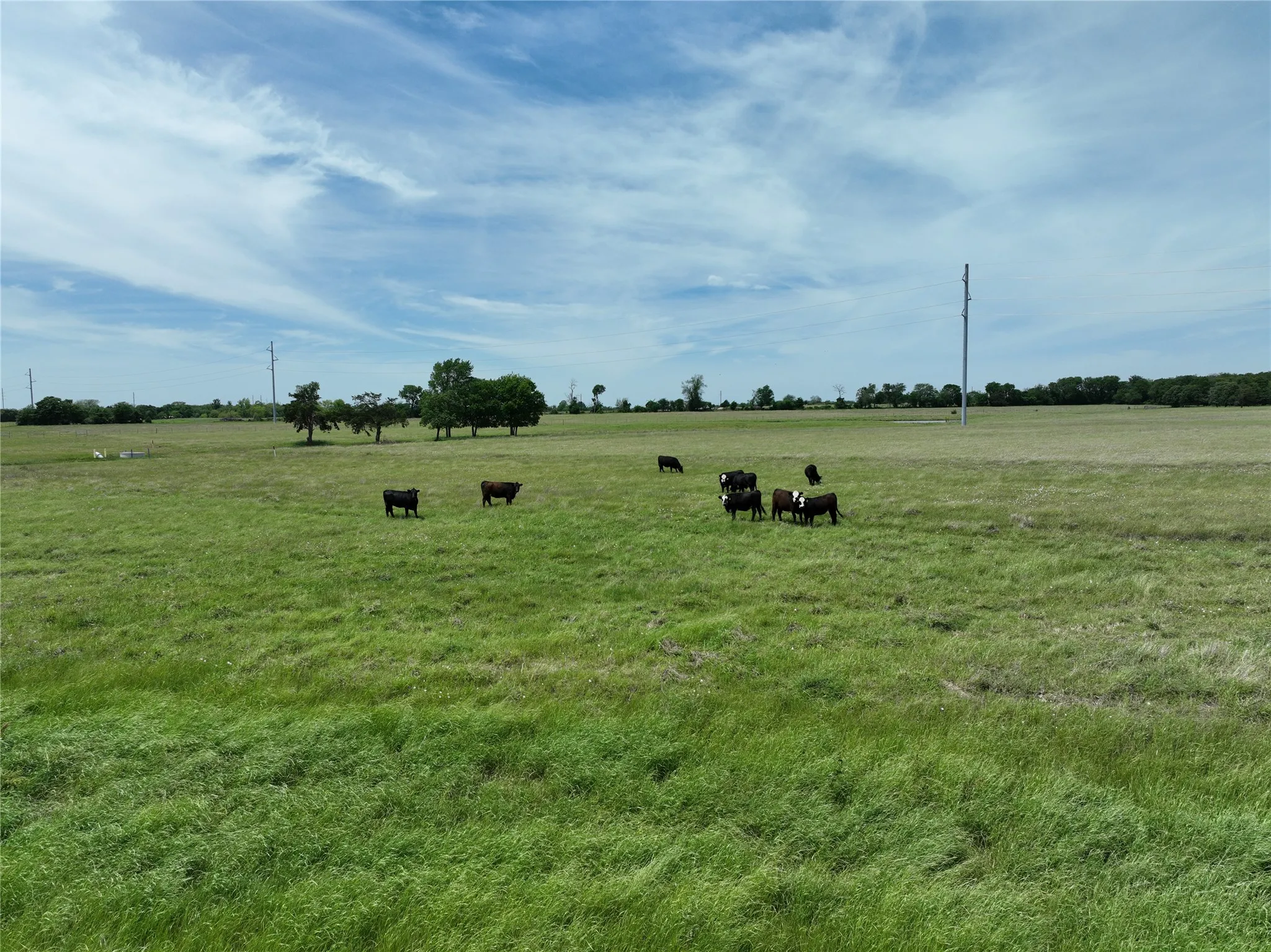 Unimproved Land For Sale in Fannin County , TBD Tract 4 County Road 4830, Leonard, Texas 75452, 0, 0, Garage spaces, 0 Sqft, built in 0, mls#21290792, Real Estate Agent in Leonard, Homes For Sale in Fannin county, Homes For Sale in Leonard, Realtor in Leonard Texas, Real Estate Brokerage Independent Realty Texas, Luminita Cordes Realtor