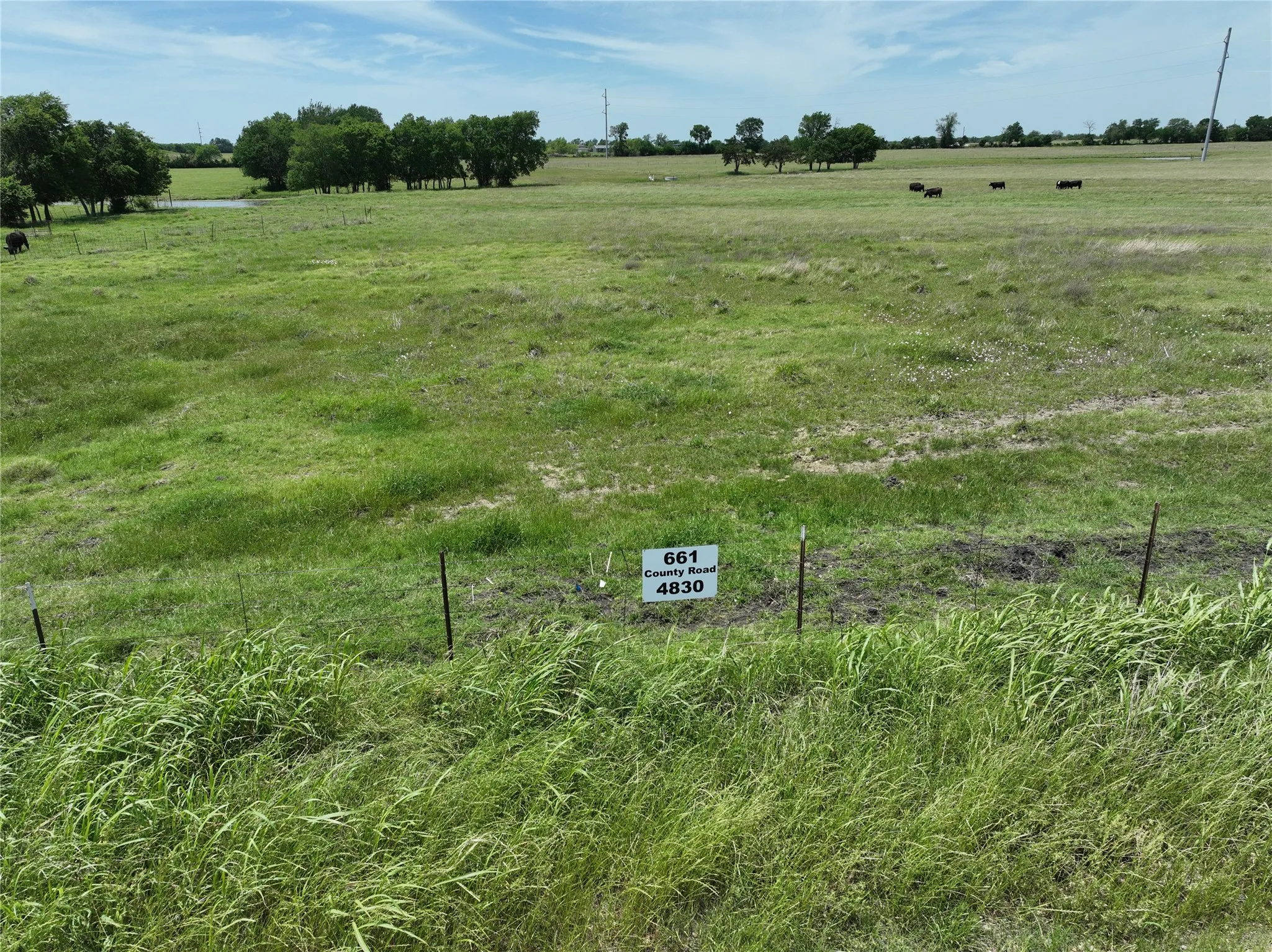 Unimproved Land For Sale in Fannin County , TBD Tract 4 County Road 4830, Leonard, Texas 75452, 0, 0, Garage spaces, 0 Sqft, built in 0, mls#21290792, Real Estate Agent in Leonard, Homes For Sale in Fannin county, Homes For Sale in Leonard, Realtor in Leonard Texas, Real Estate Brokerage Independent Realty Texas, Luminita Cordes Realtor