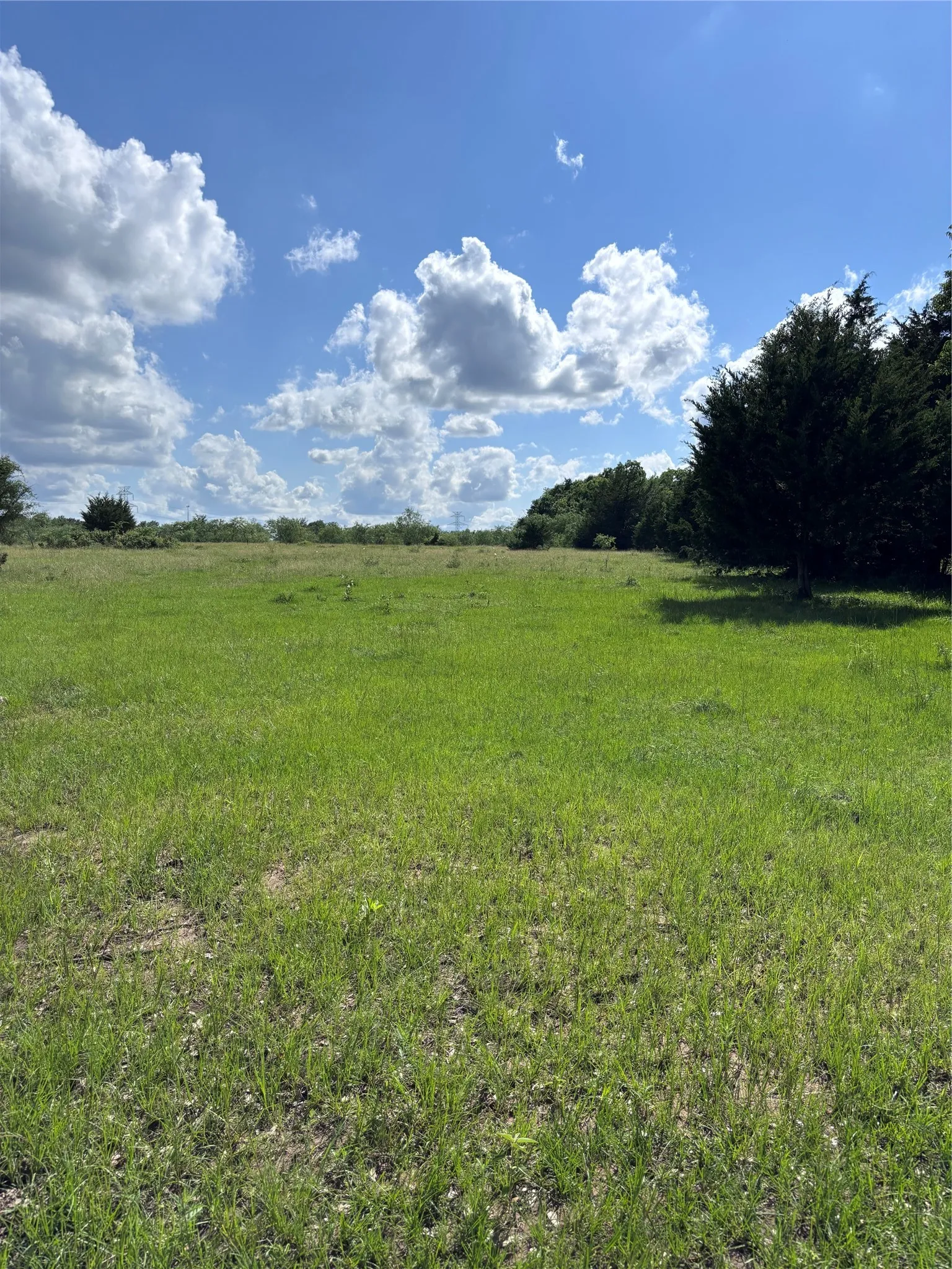 Unimproved Land For Sale in Limestone County , TBD LCR 786, Thornton, Texas 76687, 0, 0, Garage spaces, 0 Sqft, built in 0, mls#21299945, Real Estate Agent in Thornton, Homes For Sale in Limestone county, Homes For Sale in Thornton, Realtor in Thornton Texas, Real Estate Brokerage Independent Realty Texas, Luminita Cordes Realtor