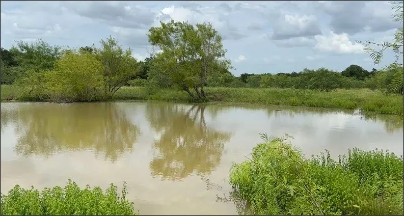 pond close to front of the property