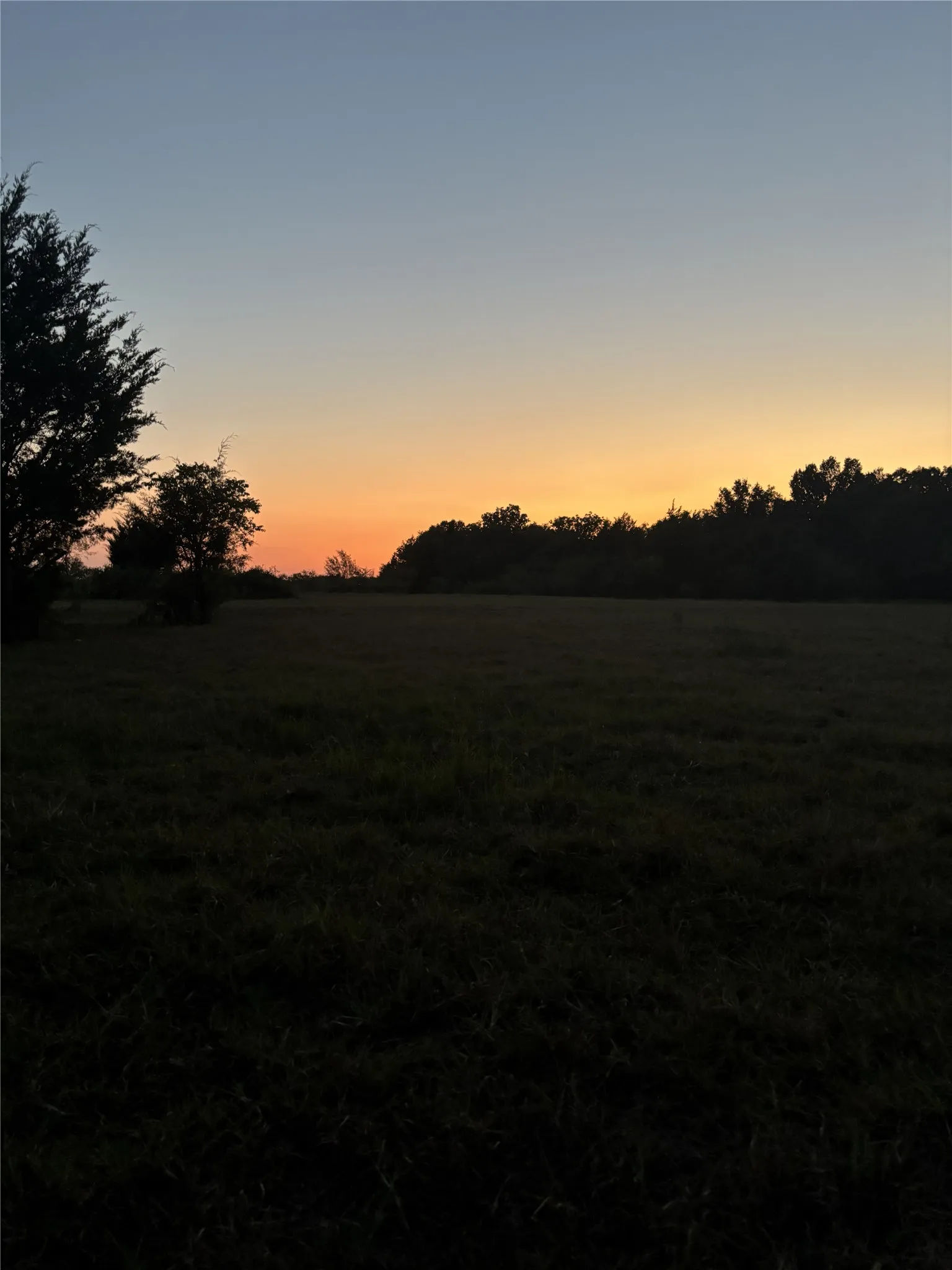 Expansive open field with a treeline border under a gradient sky