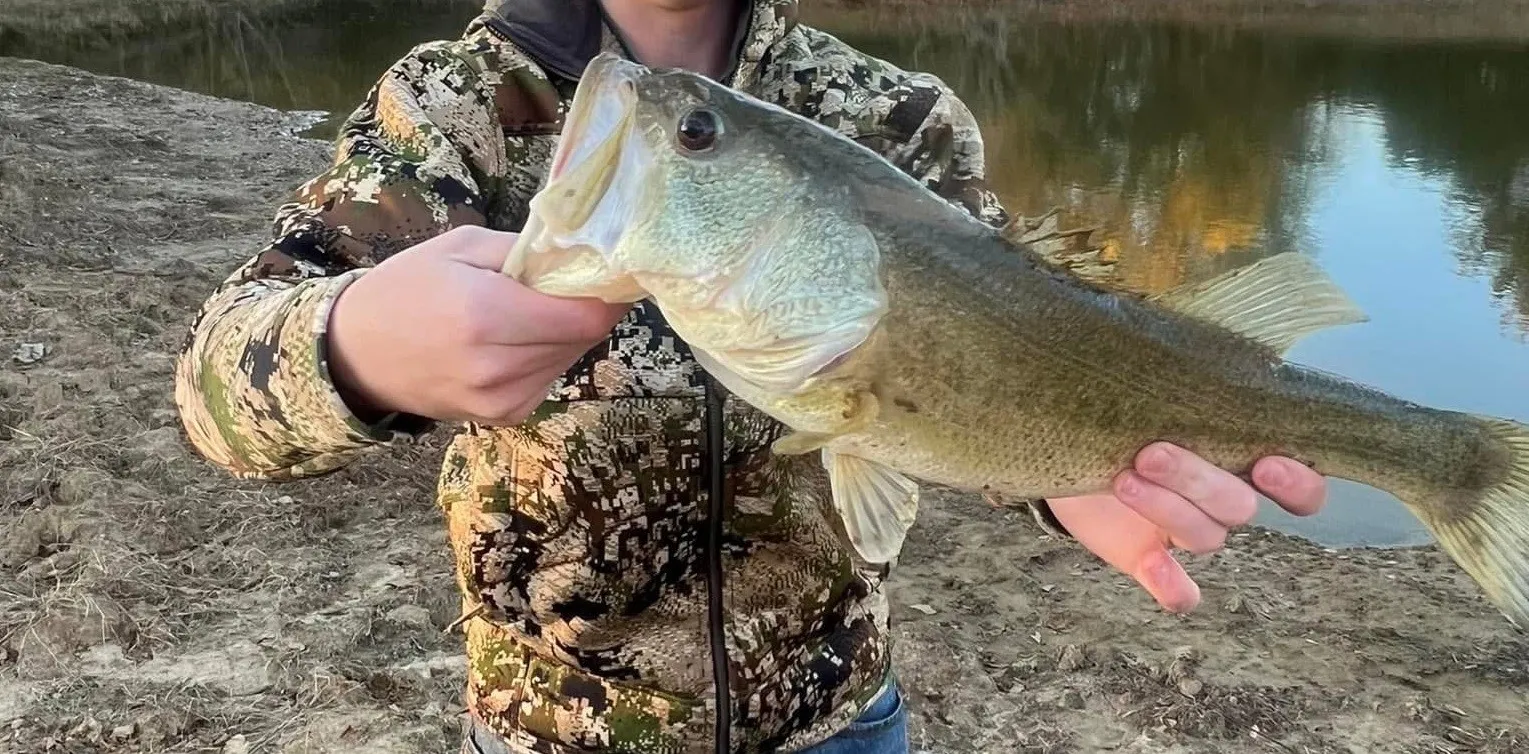 Bass caught at property