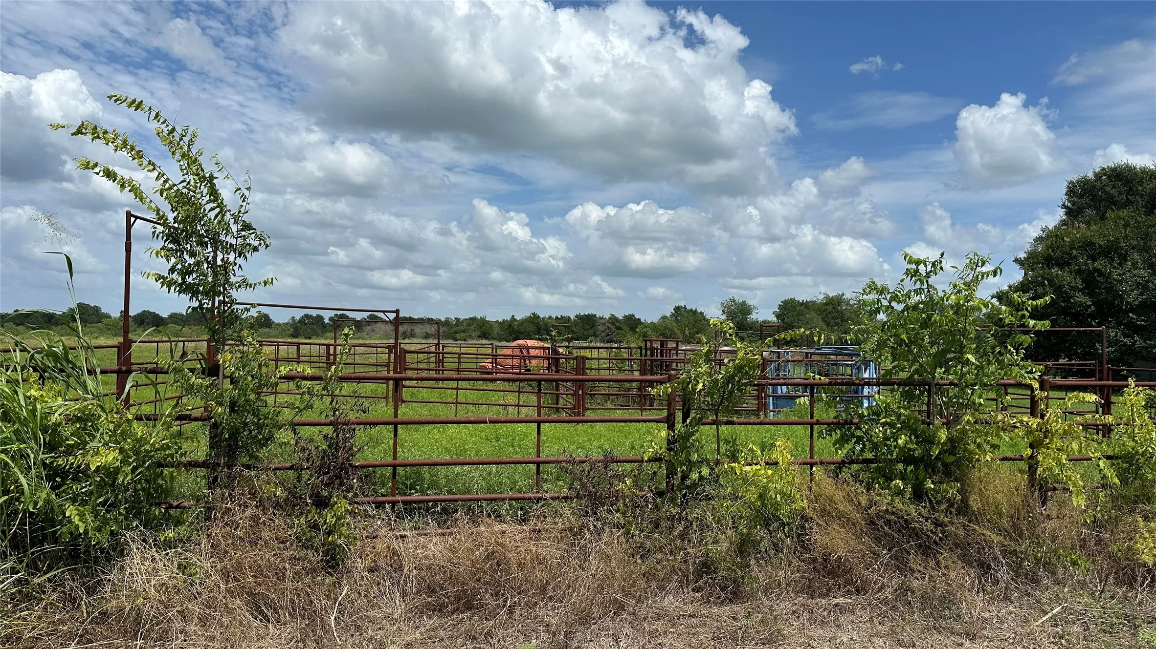 Cattle Pens on Property by County Road
