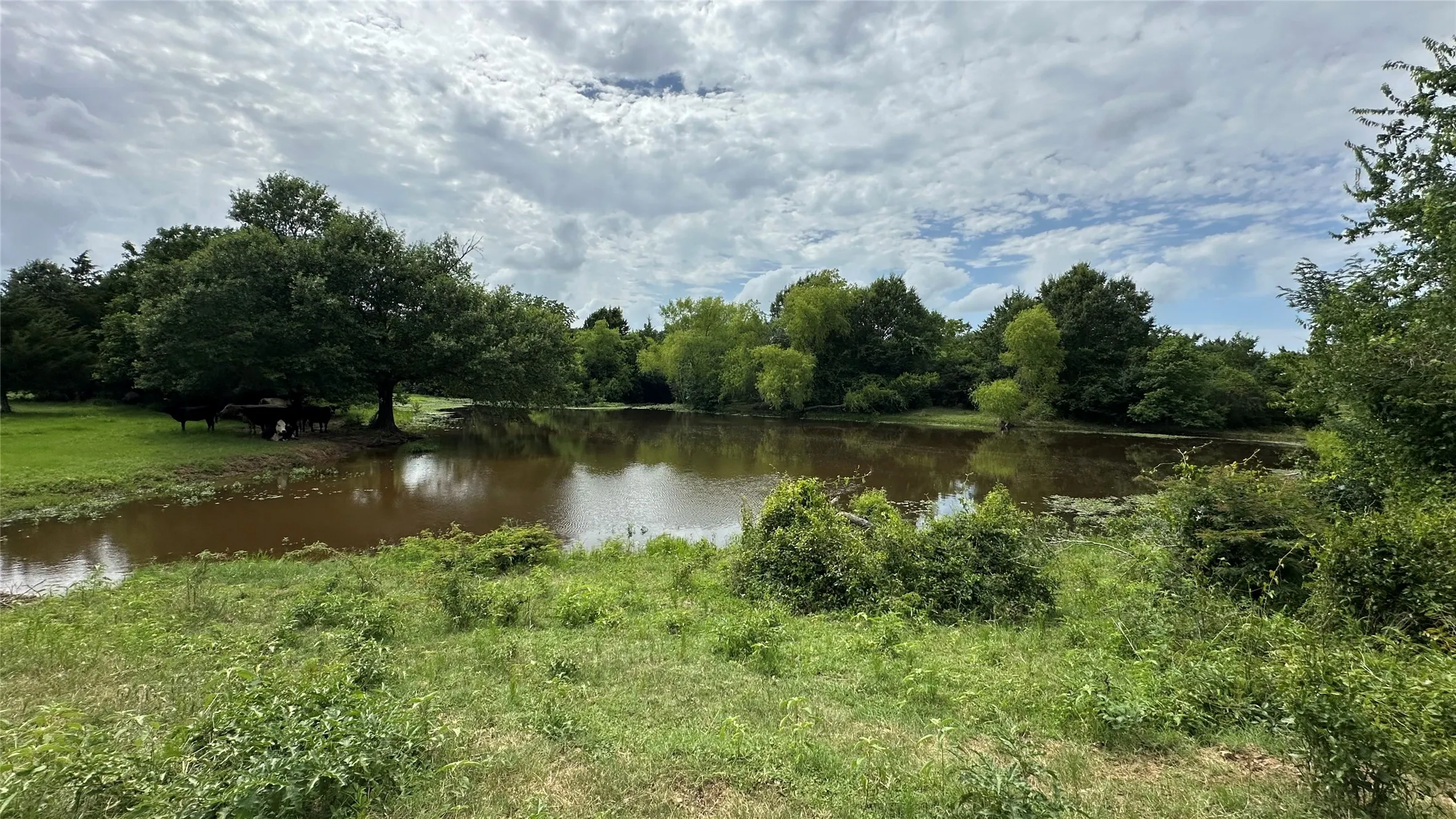 Natural pond surrounded by mature trees and lush vegetation