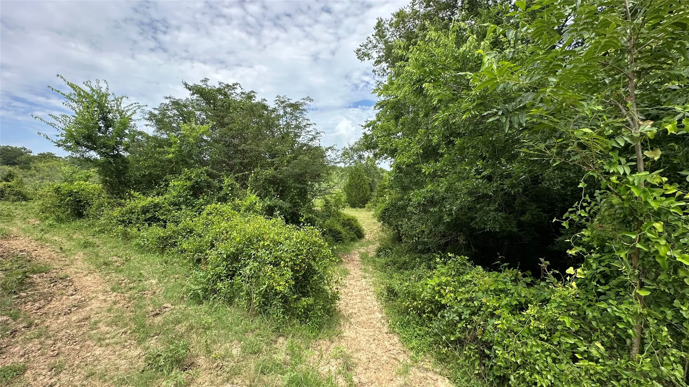 ATV trail