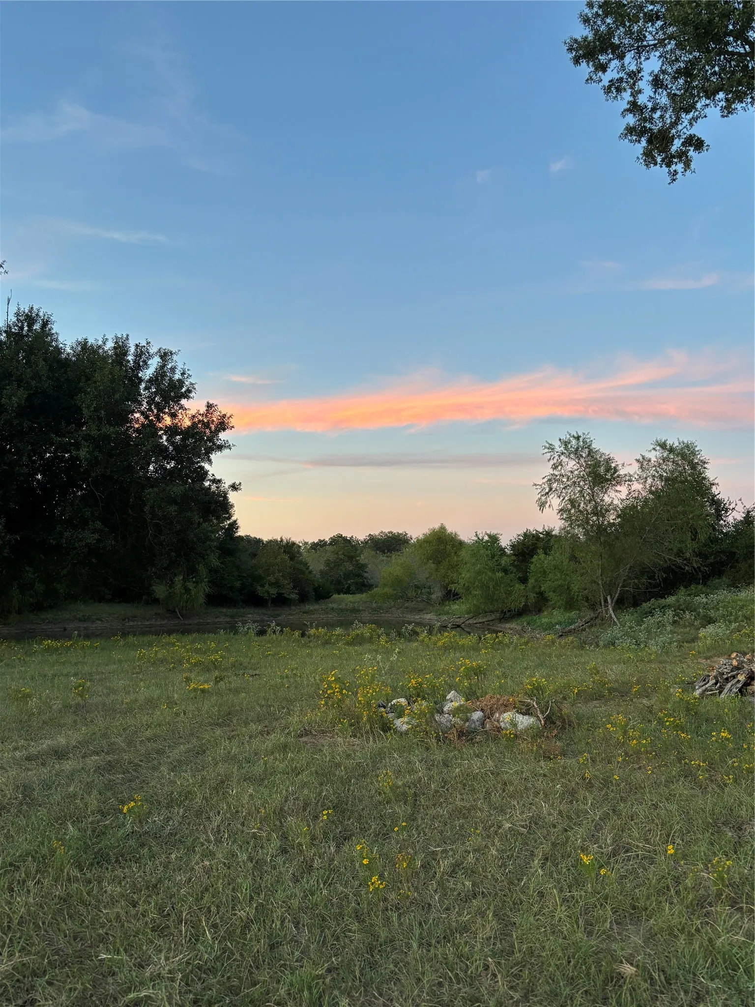 Campsite