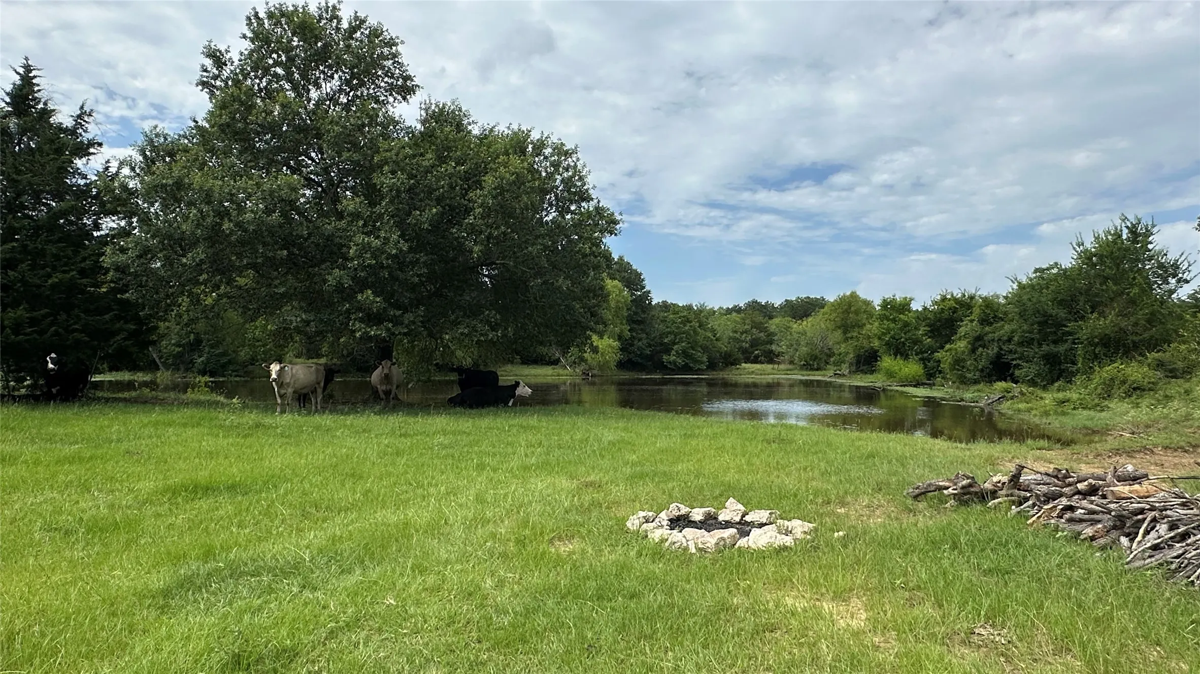 Unimproved Land For Sale in Limestone County , TBD LCR 786, Thornton, Texas 76687, 0, 0, Garage spaces, 0 Sqft, built in 0, mls#21299945, Real Estate Agent in Thornton, Homes For Sale in Limestone county, Homes For Sale in Thornton, Realtor in Thornton Texas, Real Estate Brokerage Independent Realty Texas, Luminita Cordes Realtor