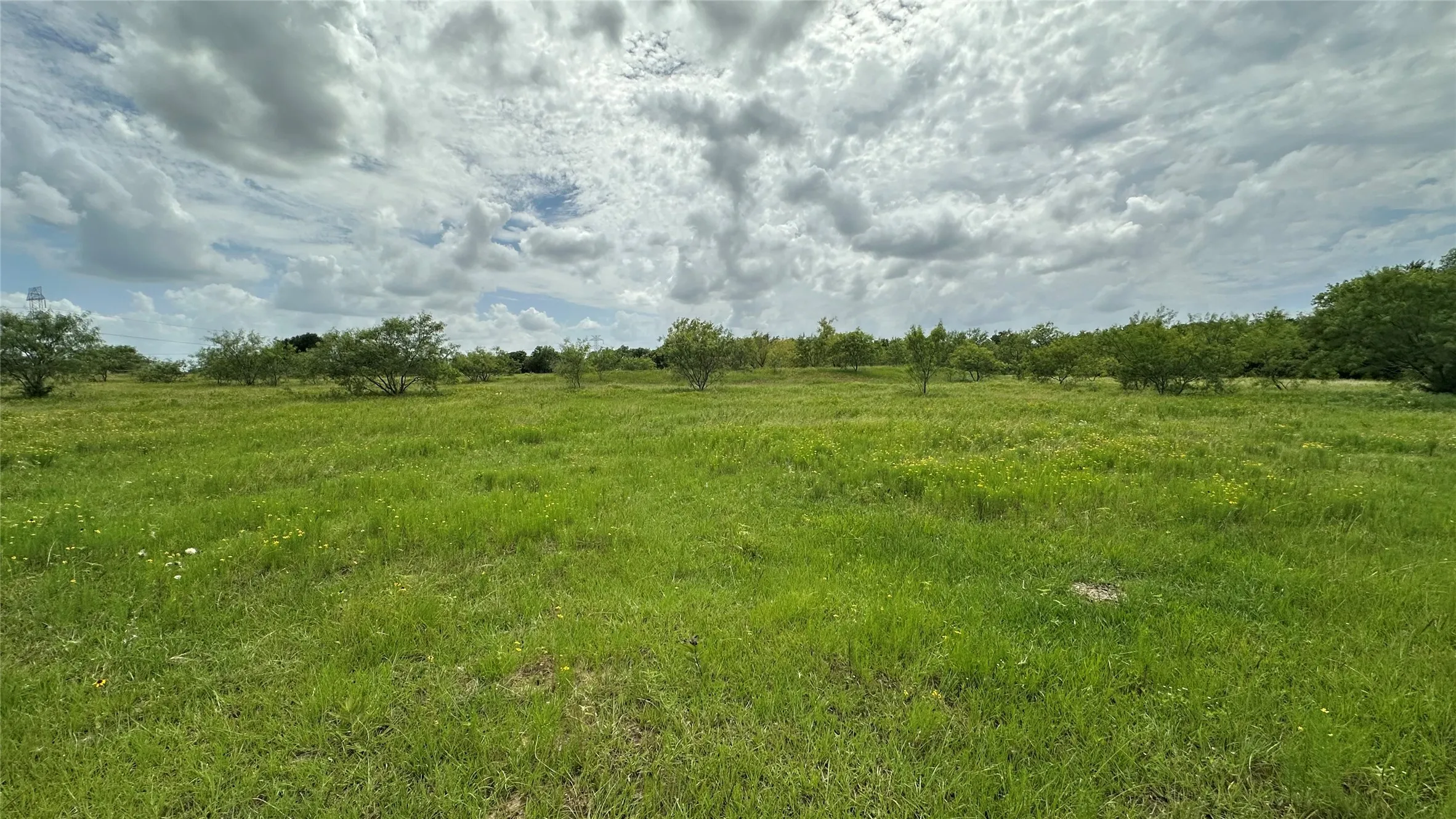Pastureland