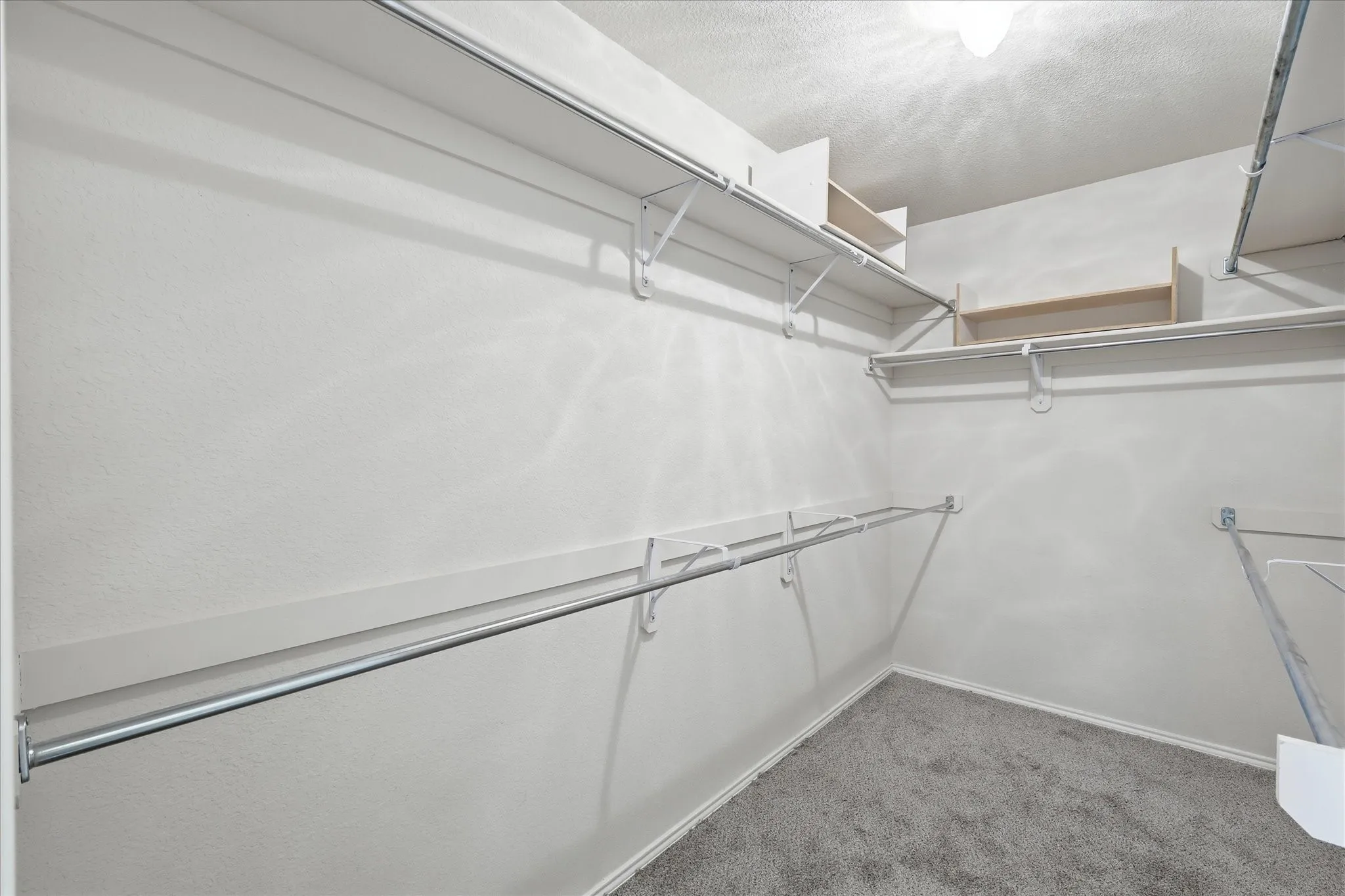 Spacious walk-in closet featuring built-in shelving, multiple hanging rods, and plush gray carpeting