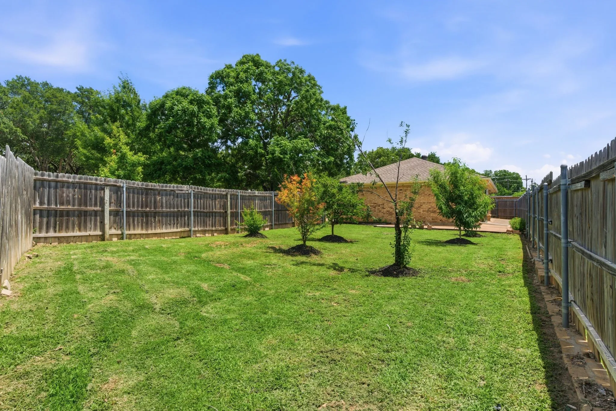 Enjoy a spacious backyard retreat with mature trees, fruiting trees, and room to garden, play, or entertain.