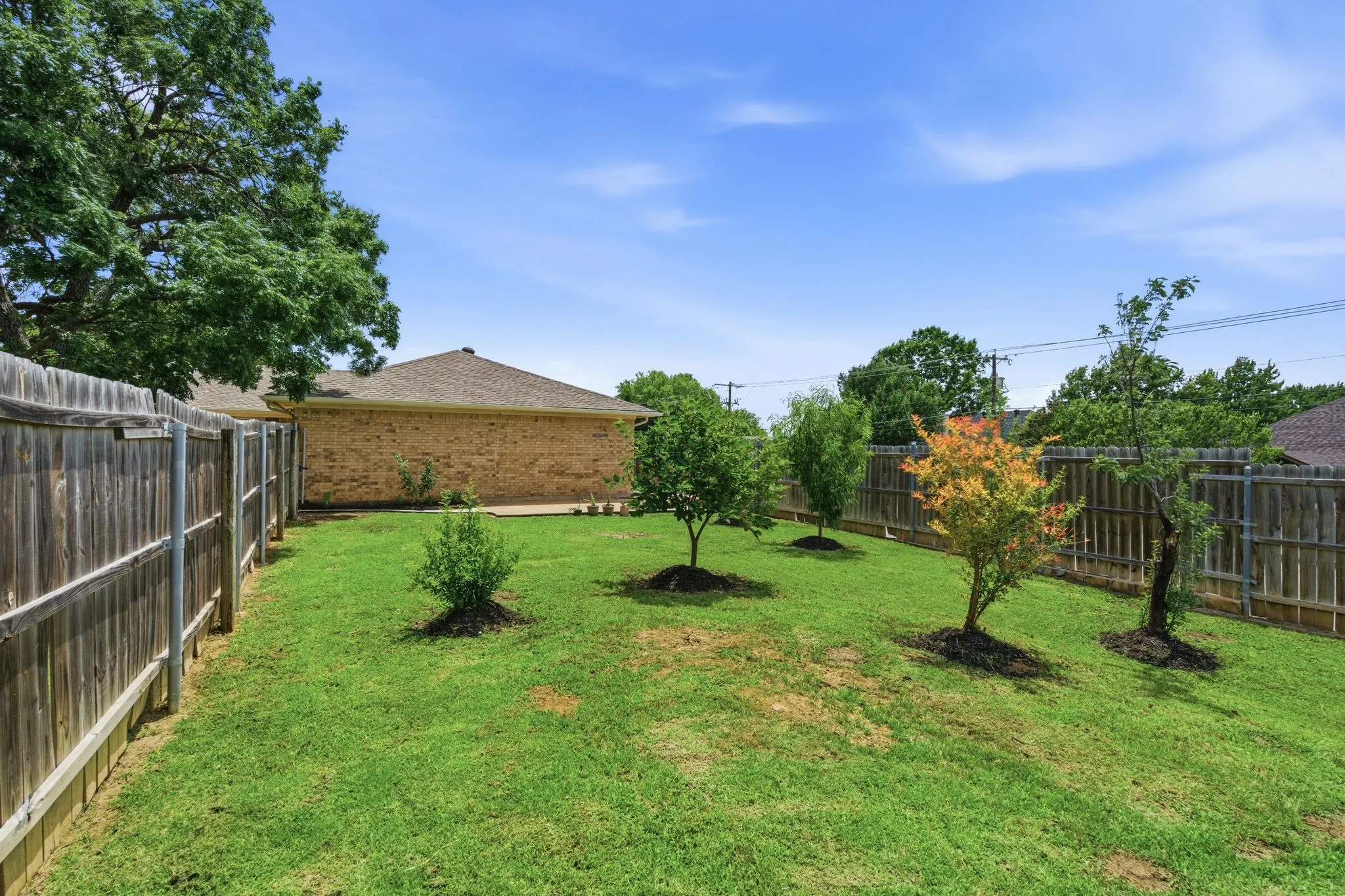 Private outdoor space with no neighbors directly behind.