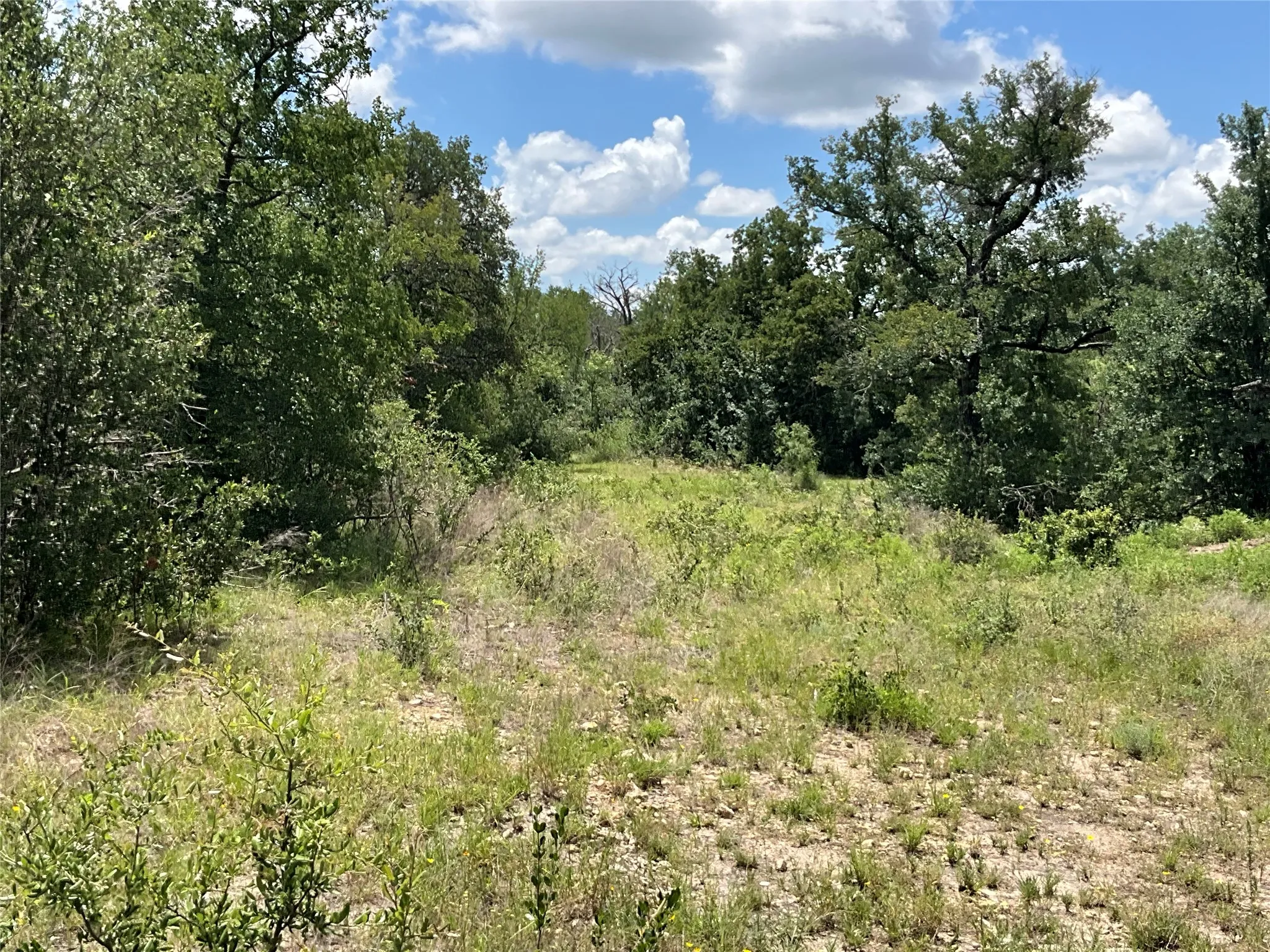 Ranch For Sale in Comanche County , TBD W FM 2486, Gustine, Texas 76455, 0, 0, Garage spaces, 0 Sqft, built in 0, Price $2,663,360, mls#21299988, Real Estate Agent in Gustine, Homes For Sale in Comanche county, Homes For Sale in Gustine, Realtor in Gustine Texas, Real Estate Brokerage Independent Realty Texas, Luminita Cordes Realtor