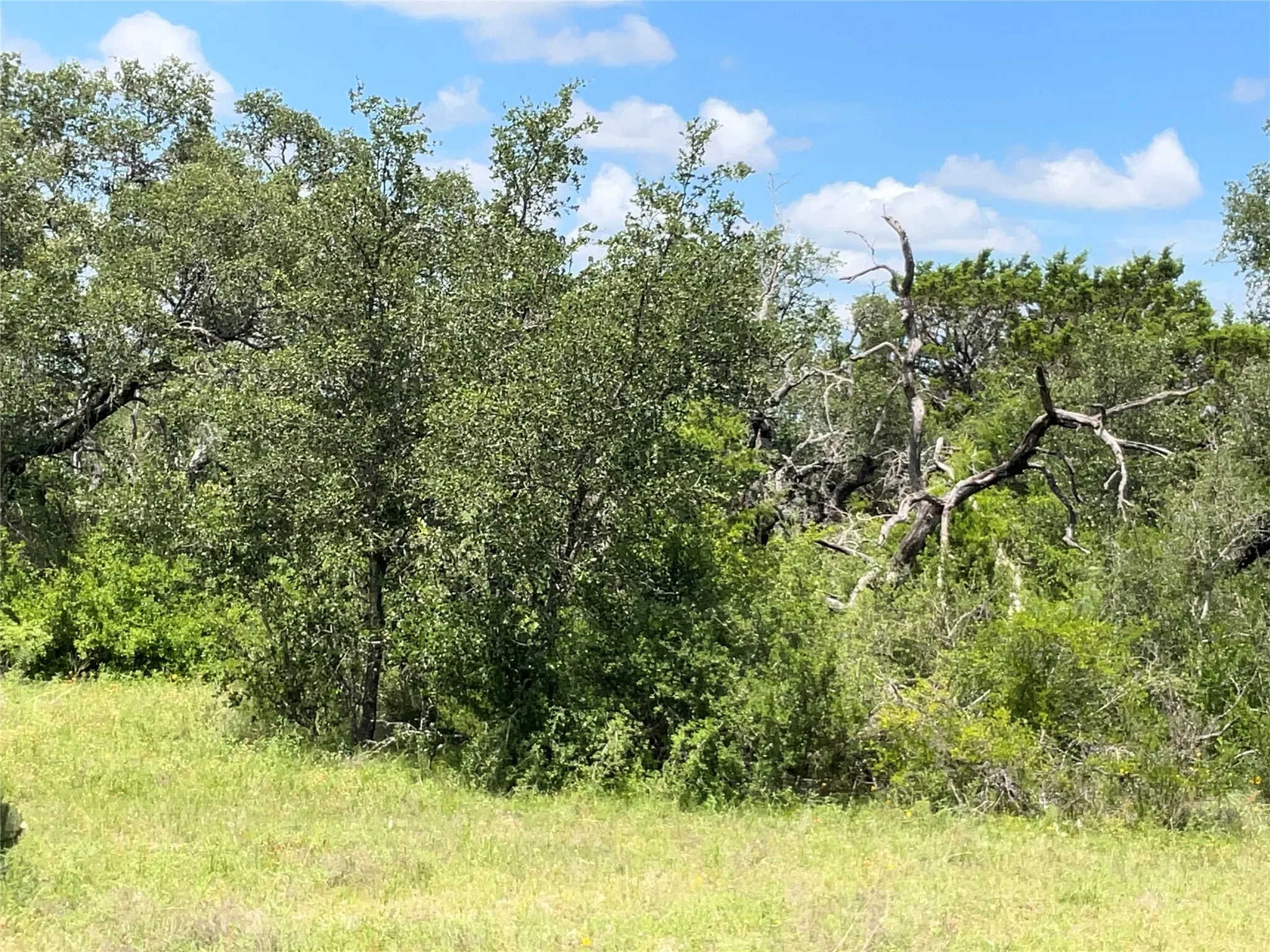 Ranch For Sale in Comanche County , TBD W FM 2486, Gustine, Texas 76455, 0, 0, Garage spaces, 0 Sqft, built in 0, Price $2,663,360, mls#21299988, Real Estate Agent in Gustine, Homes For Sale in Comanche county, Homes For Sale in Gustine, Realtor in Gustine Texas, Real Estate Brokerage Independent Realty Texas, Luminita Cordes Realtor