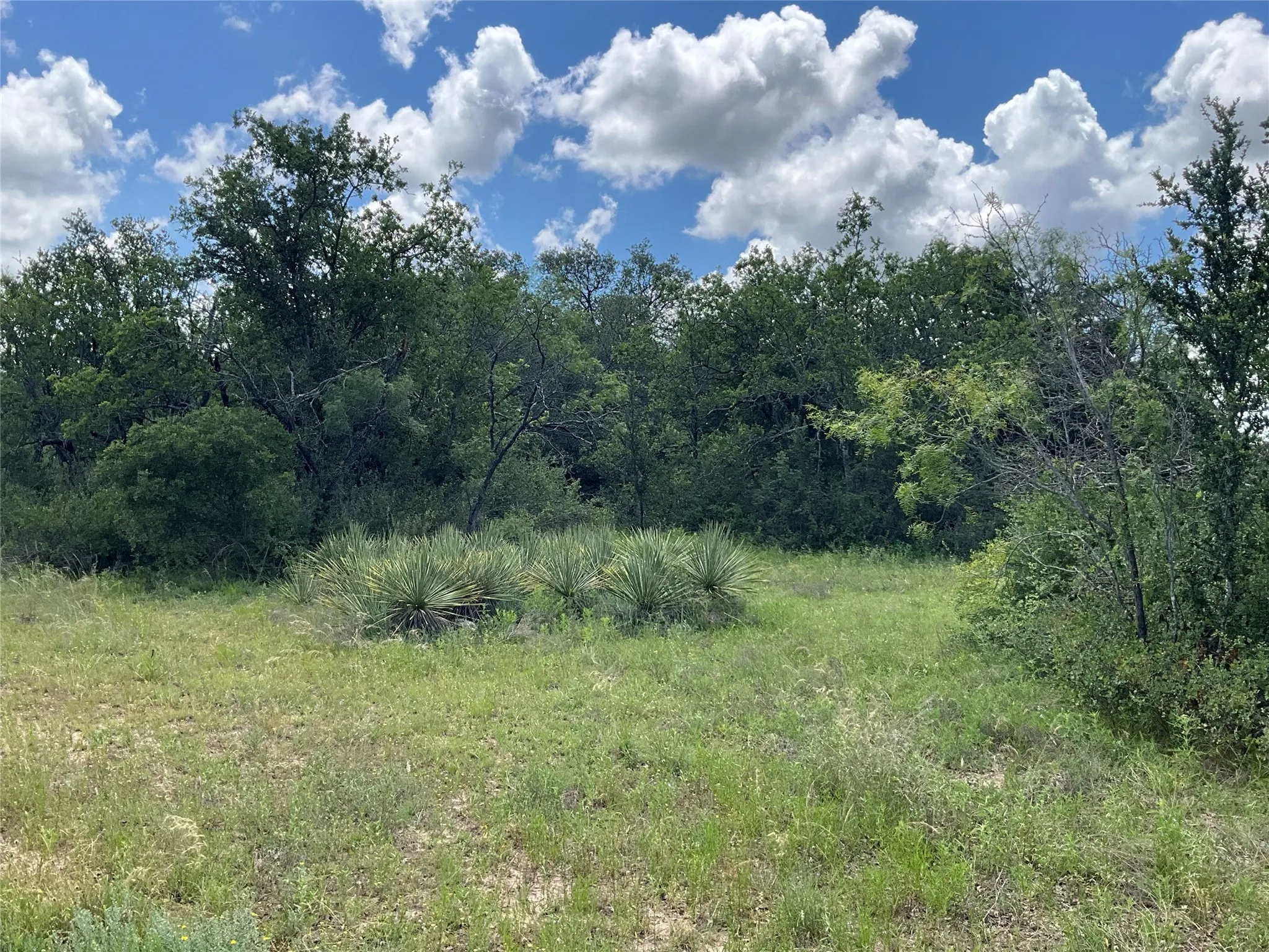 Ranch For Sale in Comanche County , TBD W FM 2486, Gustine, Texas 76455, 0, 0, Garage spaces, 0 Sqft, built in 0, Price $2,663,360, mls#21299988, Real Estate Agent in Gustine, Homes For Sale in Comanche county, Homes For Sale in Gustine, Realtor in Gustine Texas, Real Estate Brokerage Independent Realty Texas, Luminita Cordes Realtor