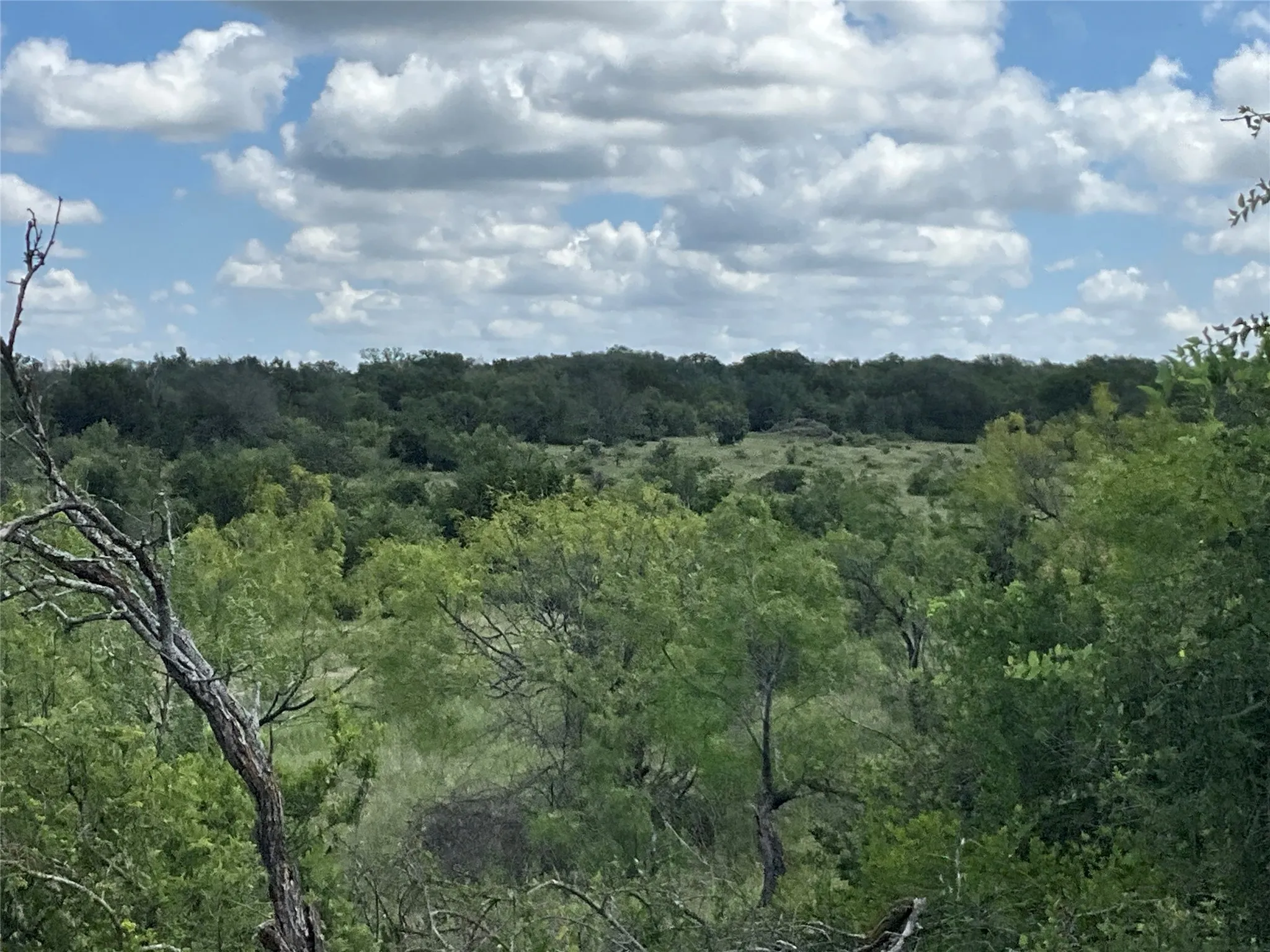 Ranch For Sale in Comanche County , TBD W FM 2486, Gustine, Texas 76455, 0, 0, Garage spaces, 0 Sqft, built in 0, Price $2,663,360, mls#21299988, Real Estate Agent in Gustine, Homes For Sale in Comanche county, Homes For Sale in Gustine, Realtor in Gustine Texas, Real Estate Brokerage Independent Realty Texas, Luminita Cordes Realtor