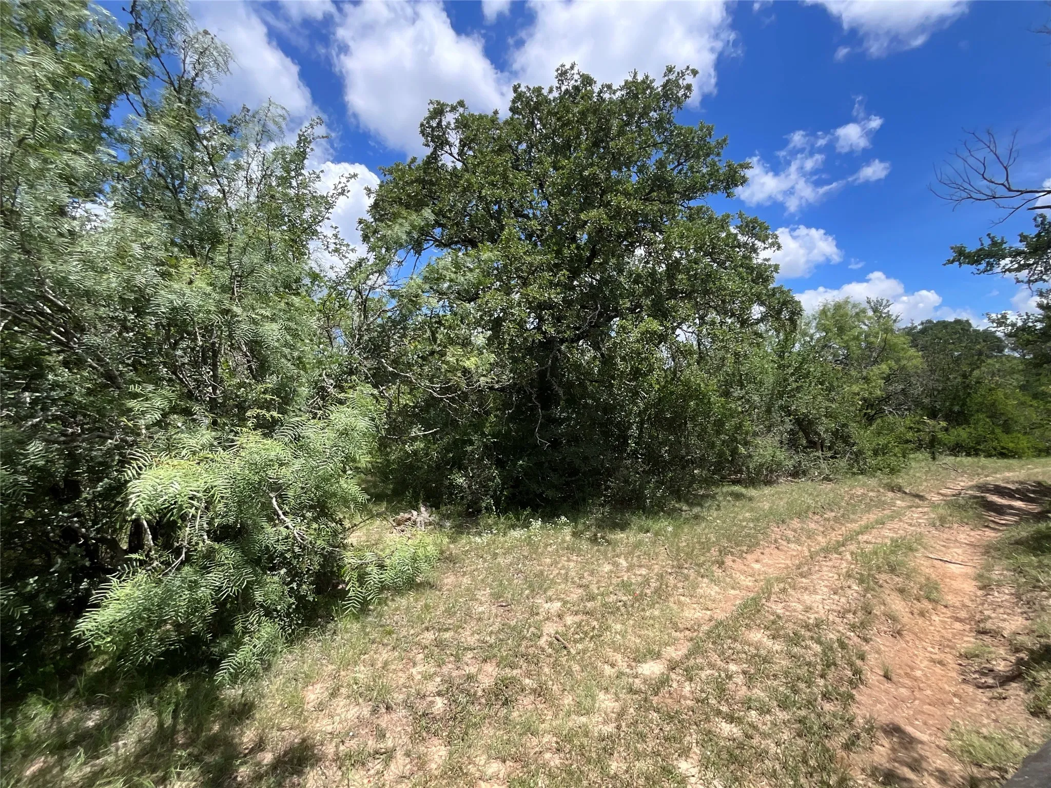 Ranch For Sale in Comanche County , TBD W FM 2486, Gustine, Texas 76455, 0, 0, Garage spaces, 0 Sqft, built in 0, Price $2,663,360, mls#21299988, Real Estate Agent in Gustine, Homes For Sale in Comanche county, Homes For Sale in Gustine, Realtor in Gustine Texas, Real Estate Brokerage Independent Realty Texas, Luminita Cordes Realtor