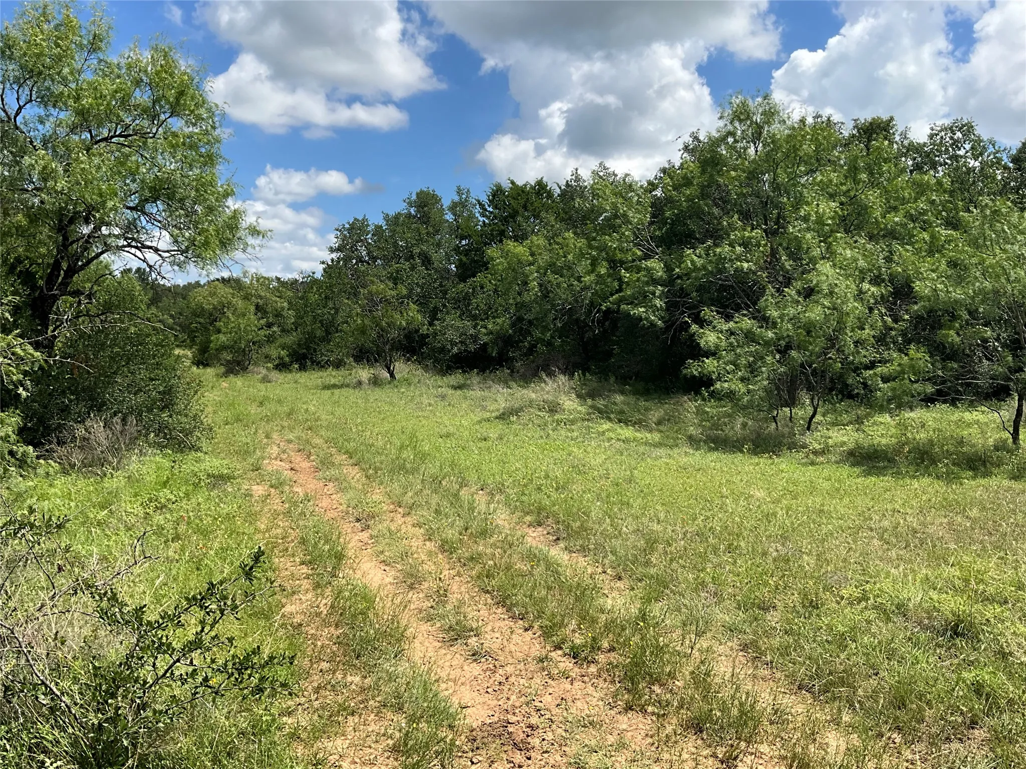 Ranch For Sale in Comanche County , TBD W FM 2486, Gustine, Texas 76455, 0, 0, Garage spaces, 0 Sqft, built in 0, Price $2,663,360, mls#21299988, Real Estate Agent in Gustine, Homes For Sale in Comanche county, Homes For Sale in Gustine, Realtor in Gustine Texas, Real Estate Brokerage Independent Realty Texas, Luminita Cordes Realtor