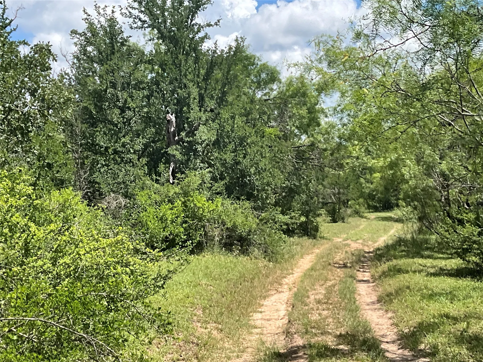 Ranch For Sale in Comanche County , TBD W FM 2486, Gustine, Texas 76455, 0, 0, Garage spaces, 0 Sqft, built in 0, Price $2,663,360, mls#21299988, Real Estate Agent in Gustine, Homes For Sale in Comanche county, Homes For Sale in Gustine, Realtor in Gustine Texas, Real Estate Brokerage Independent Realty Texas, Luminita Cordes Realtor