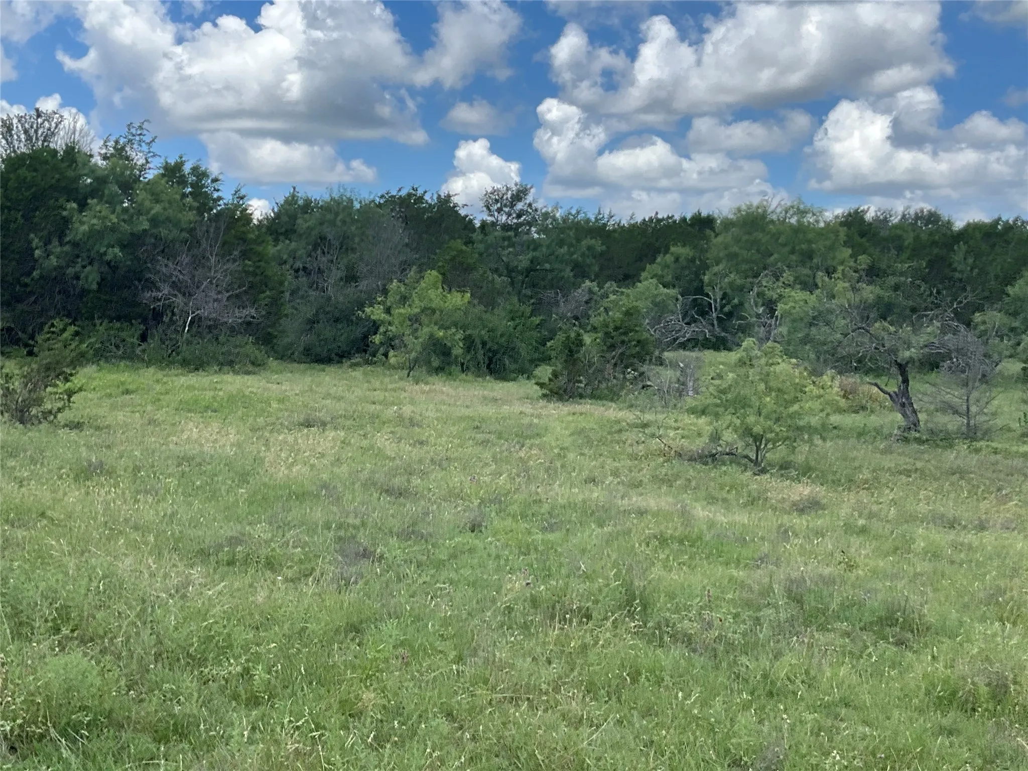 Ranch For Sale in Comanche County , TBD W FM 2486, Gustine, Texas 76455, 0, 0, Garage spaces, 0 Sqft, built in 0, Price $2,663,360, mls#21299988, Real Estate Agent in Gustine, Homes For Sale in Comanche county, Homes For Sale in Gustine, Realtor in Gustine Texas, Real Estate Brokerage Independent Realty Texas, Luminita Cordes Realtor