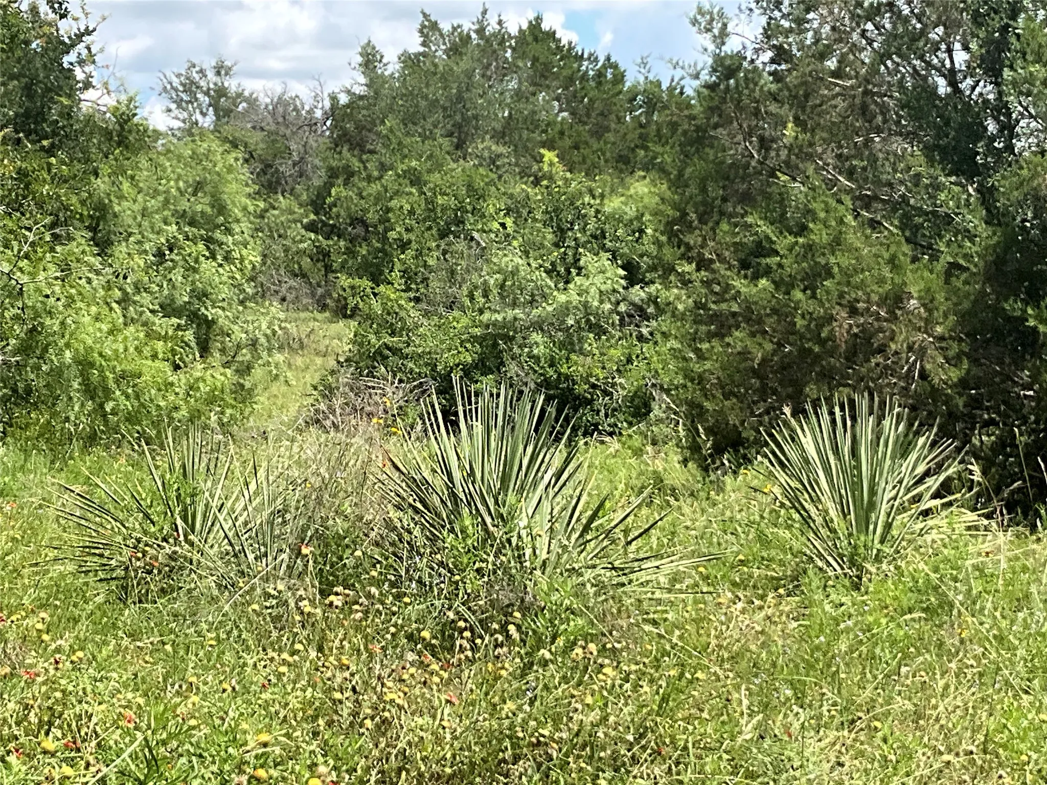 Ranch For Sale in Comanche County , TBD W FM 2486, Gustine, Texas 76455, 0, 0, Garage spaces, 0 Sqft, built in 0, Price $2,663,360, mls#21299988, Real Estate Agent in Gustine, Homes For Sale in Comanche county, Homes For Sale in Gustine, Realtor in Gustine Texas, Real Estate Brokerage Independent Realty Texas, Luminita Cordes Realtor