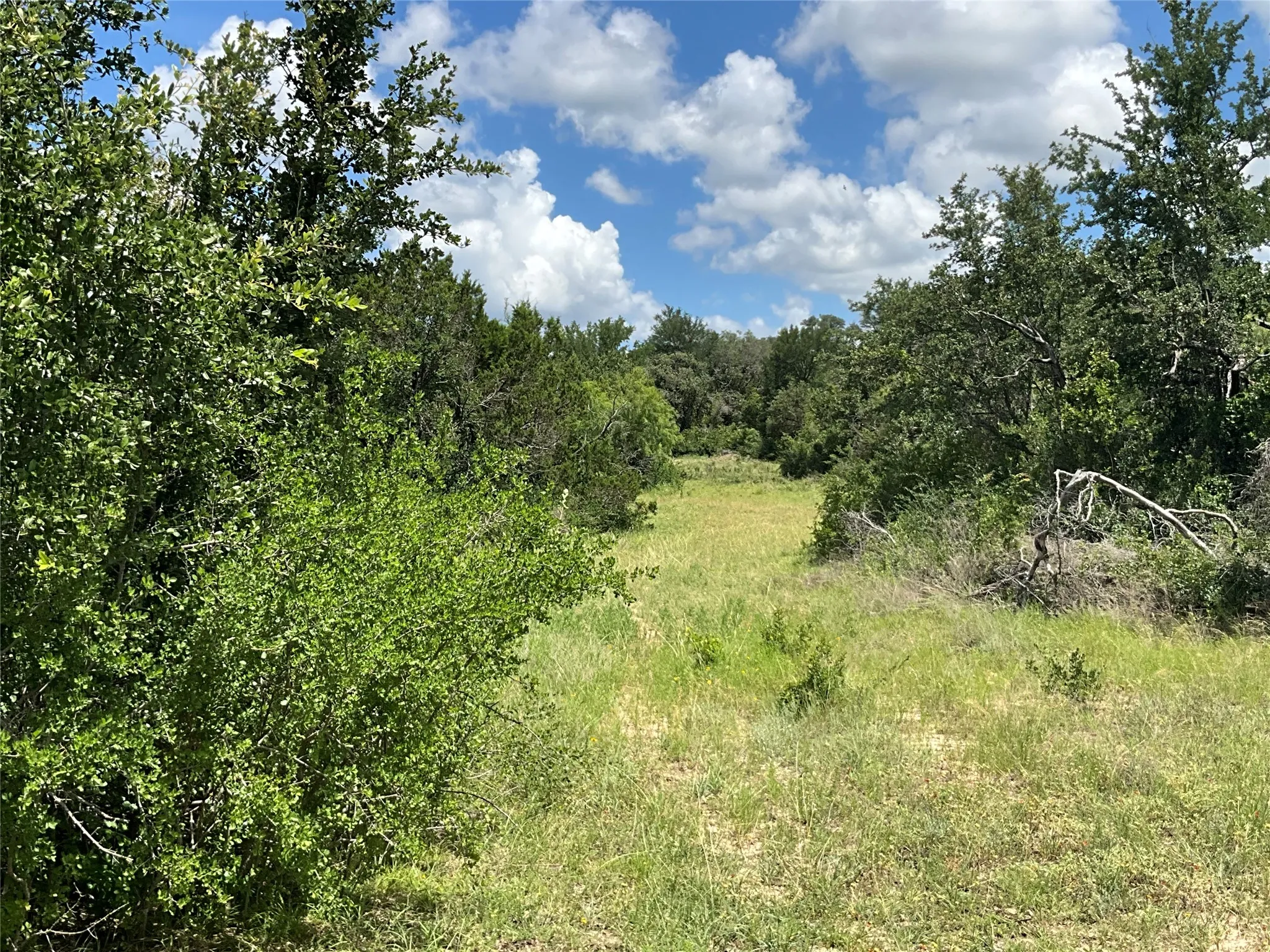 Ranch For Sale in Comanche County , TBD W FM 2486, Gustine, Texas 76455, 0, 0, Garage spaces, 0 Sqft, built in 0, Price $2,663,360, mls#21299988, Real Estate Agent in Gustine, Homes For Sale in Comanche county, Homes For Sale in Gustine, Realtor in Gustine Texas, Real Estate Brokerage Independent Realty Texas, Luminita Cordes Realtor