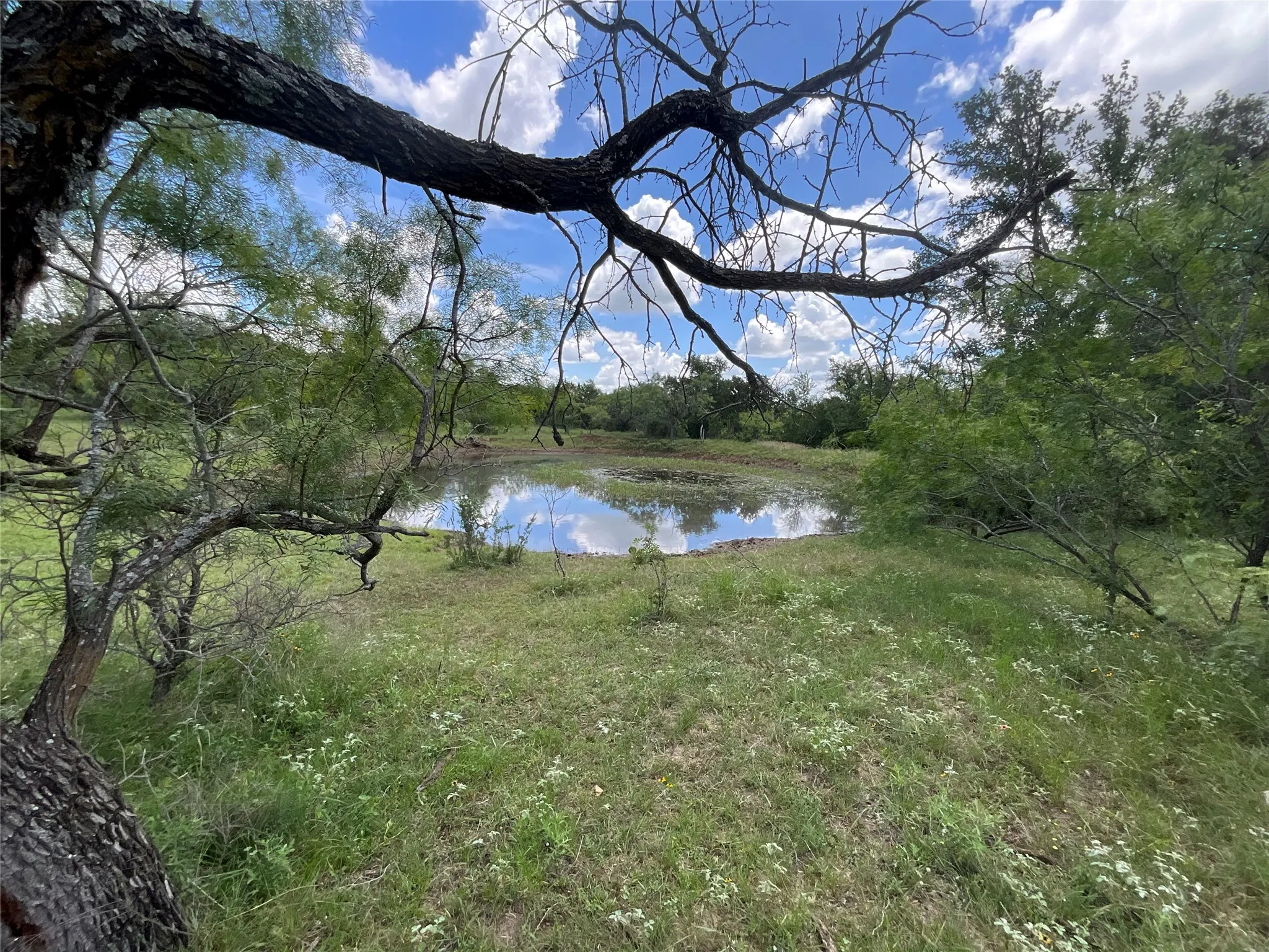 Ranch For Sale in Comanche County , TBD W FM 2486, Gustine, Texas 76455, 0, 0, Garage spaces, 0 Sqft, built in 0, Price $2,663,360, mls#21299988, Real Estate Agent in Gustine, Homes For Sale in Comanche county, Homes For Sale in Gustine, Realtor in Gustine Texas, Real Estate Brokerage Independent Realty Texas, Luminita Cordes Realtor