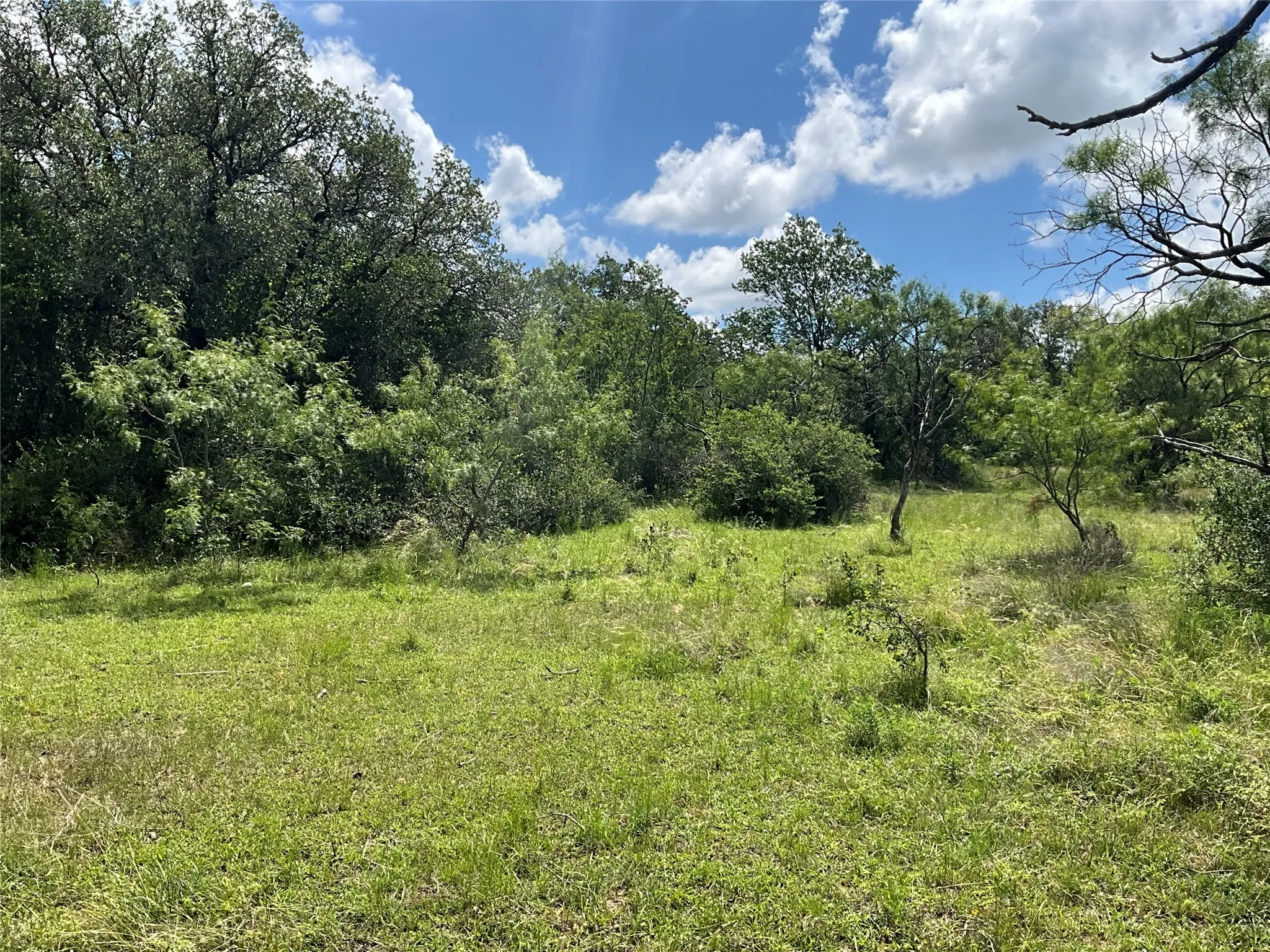 Ranch For Sale in Comanche County , TBD W FM 2486, Gustine, Texas 76455, 0, 0, Garage spaces, 0 Sqft, built in 0, Price $2,663,360, mls#21299988, Real Estate Agent in Gustine, Homes For Sale in Comanche county, Homes For Sale in Gustine, Realtor in Gustine Texas, Real Estate Brokerage Independent Realty Texas, Luminita Cordes Realtor