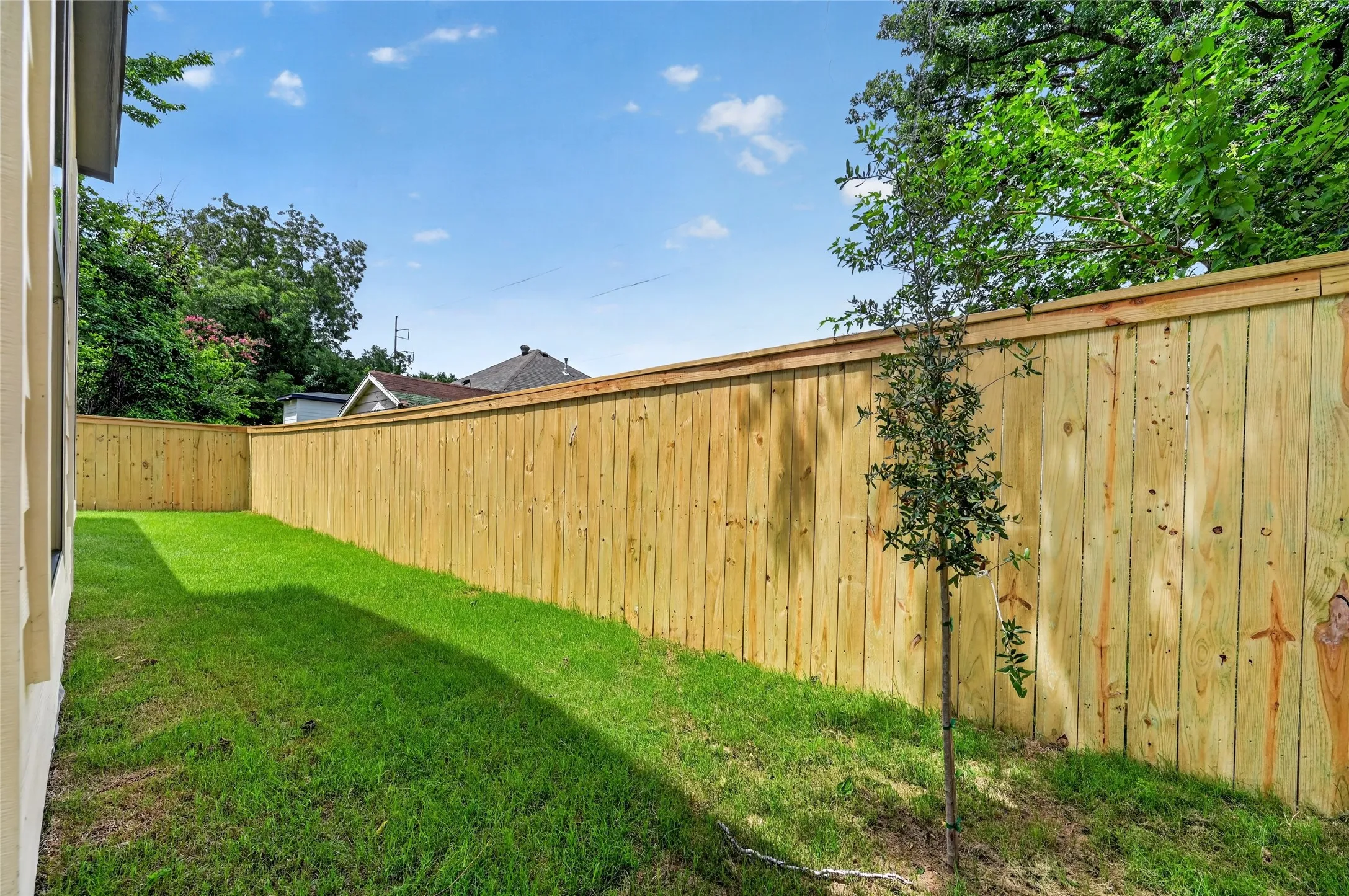 Expansive green space featuring a newly installed privacy fence, ample room for outdoor activities, and mature trees providing natural shading
