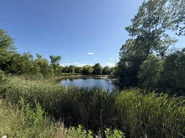 Single Family Residence For Sale in Delta County , 3120 Texas Highway 24 N, Cooper, Texas 75432, 6 Bedroom, 7 Bathroom, 3 Garage spaces, 6,457 Sqft, built in 1995, mls#21299502, Real Estate Agent in Cooper, Homes For Sale in Delta county, Homes For Sale in Cooper, Realtor in Cooper Texas, Real Estate Brokerage Independent Realty Texas, Luminita Cordes Realtor