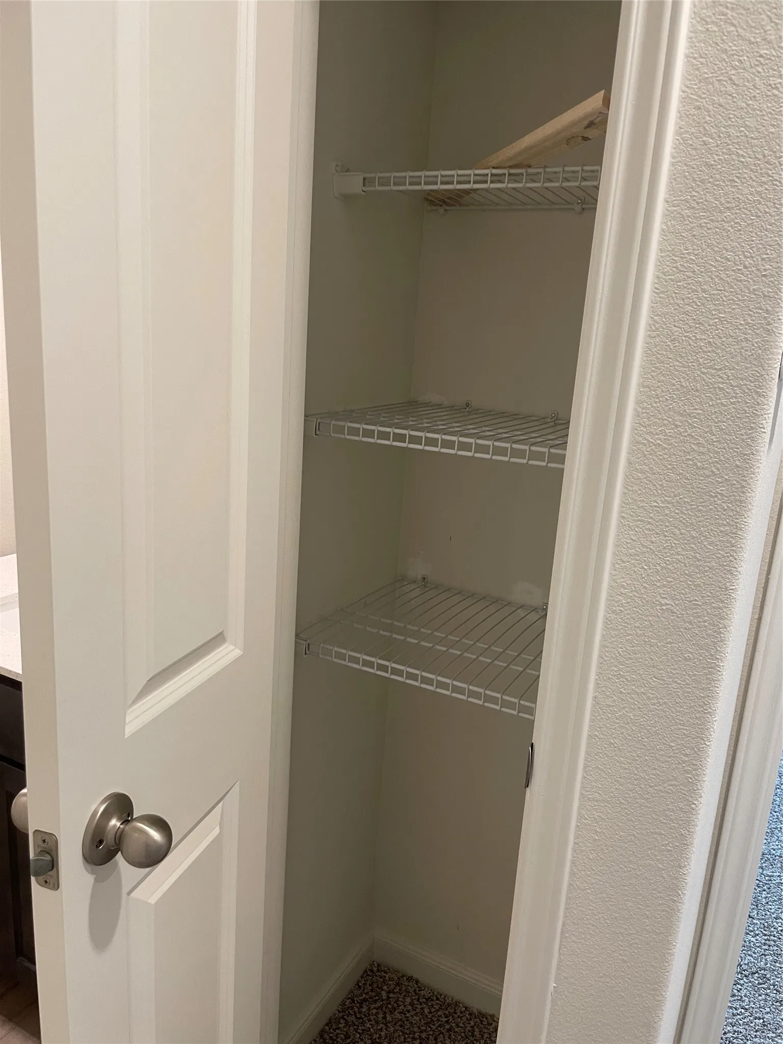Interior storage closet featuring multiple wire shelving units and a neutral carpeted floor