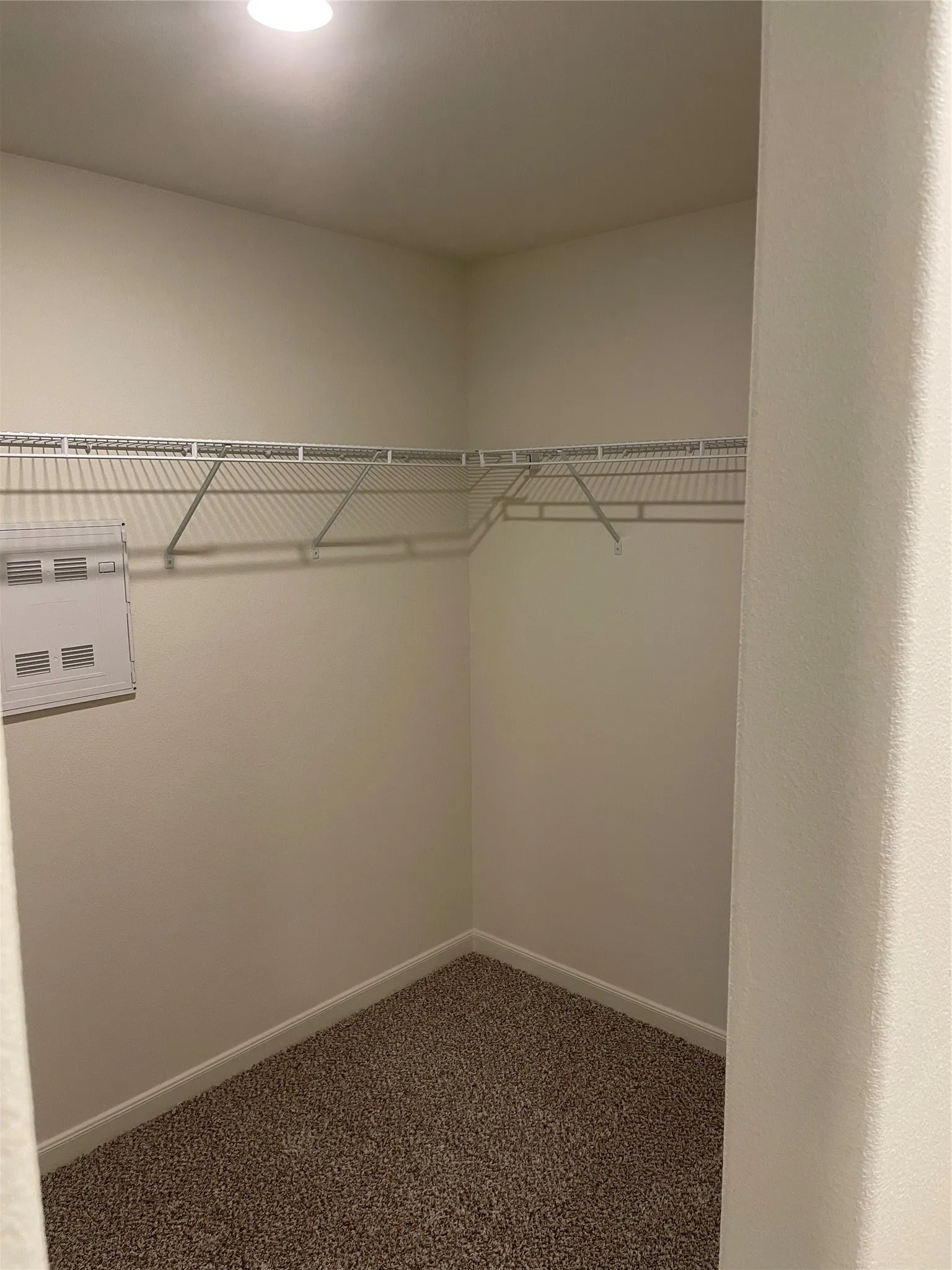 Walk-in closet featuring an overhead light fixture, light-colored walls, white wire shelving, baseboard trim, and carpet flooring