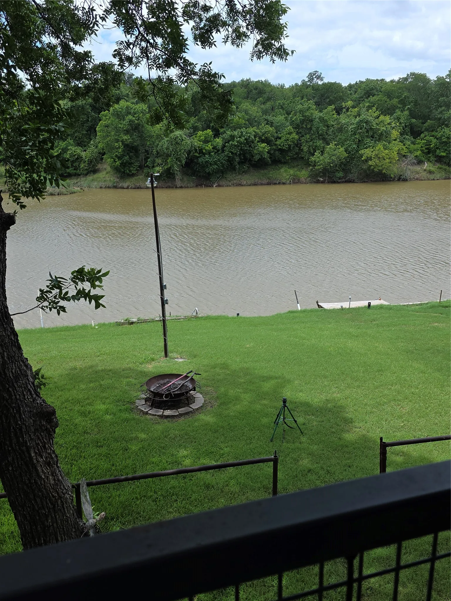 Lush green grass