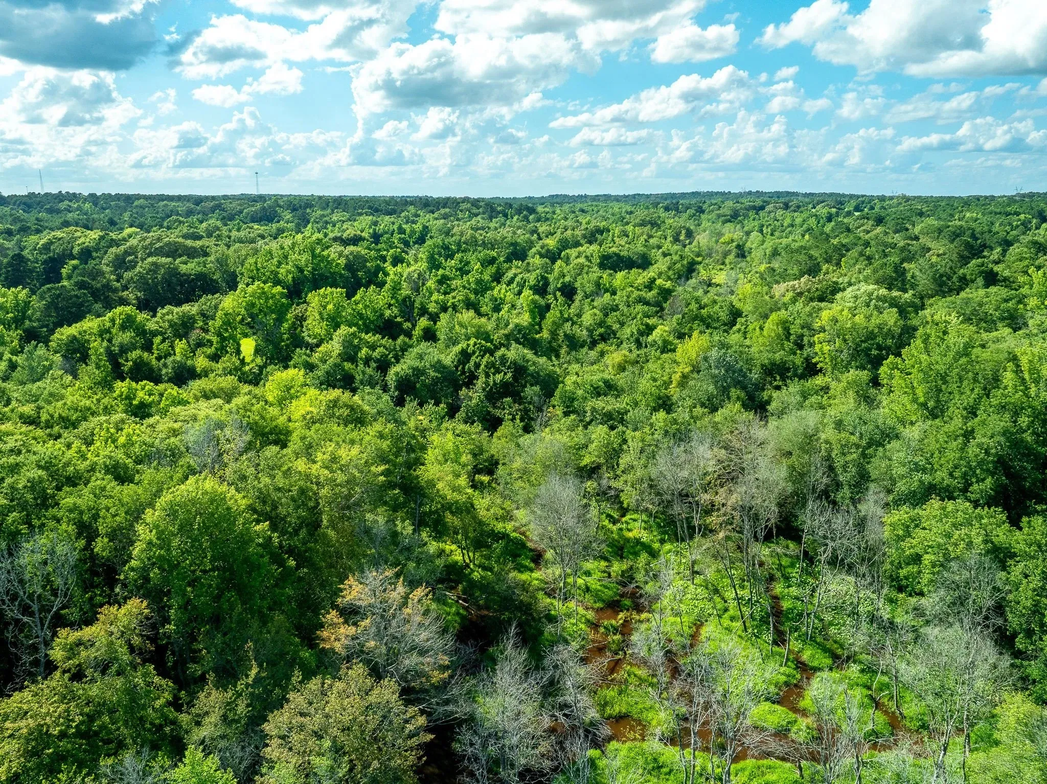 Unimproved Land For Sale in Rusk County , na CR 2137 D, Tatum, Texas 75961, 0, 0, Garage spaces, 0 Sqft, built in 0, mls#21300104, Real Estate Agent in Tatum, Homes For Sale in Rusk county, Homes For Sale in Tatum, Realtor in Tatum Texas, Real Estate Brokerage Independent Realty Texas, Luminita Cordes Realtor