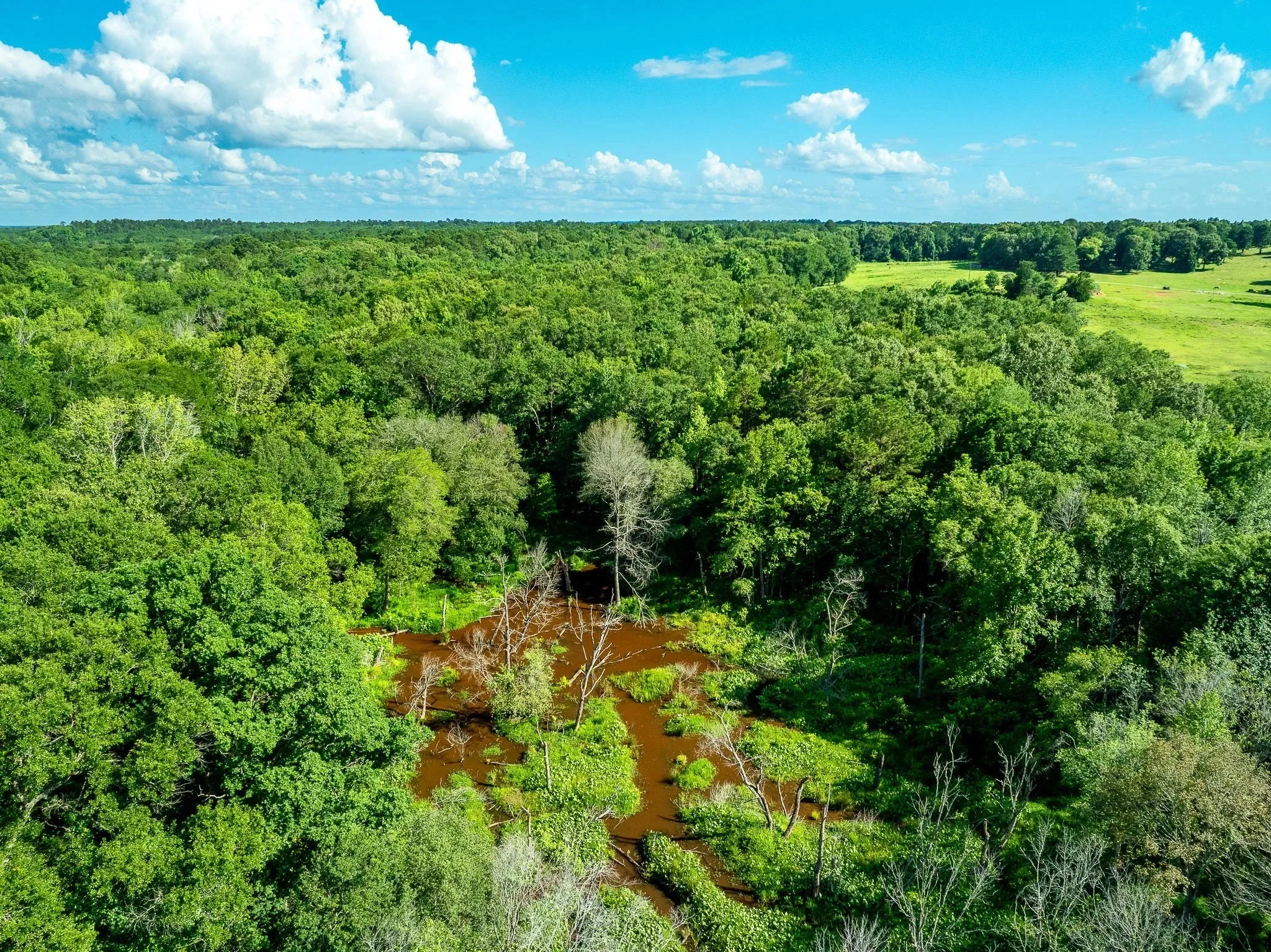 Unimproved Land For Sale in Rusk County , na CR 2137 D, Tatum, Texas 75961, 0, 0, Garage spaces, 0 Sqft, built in 0, mls#21300104, Real Estate Agent in Tatum, Homes For Sale in Rusk county, Homes For Sale in Tatum, Realtor in Tatum Texas, Real Estate Brokerage Independent Realty Texas, Luminita Cordes Realtor