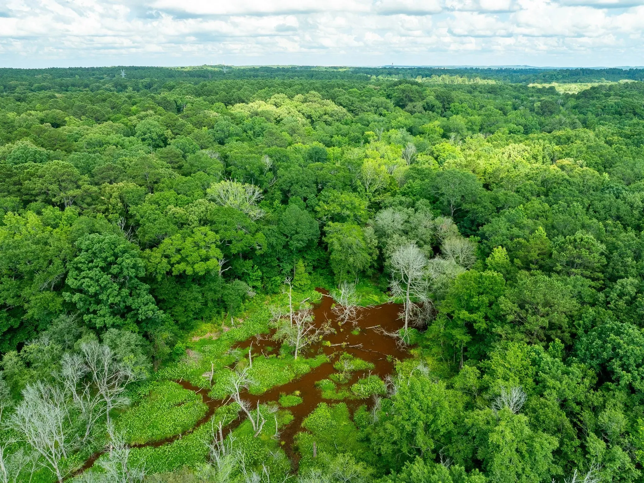 Unimproved Land For Sale in Rusk County , na CR 2137 D, Tatum, Texas 75961, 0, 0, Garage spaces, 0 Sqft, built in 0, mls#21300104, Real Estate Agent in Tatum, Homes For Sale in Rusk county, Homes For Sale in Tatum, Realtor in Tatum Texas, Real Estate Brokerage Independent Realty Texas, Luminita Cordes Realtor