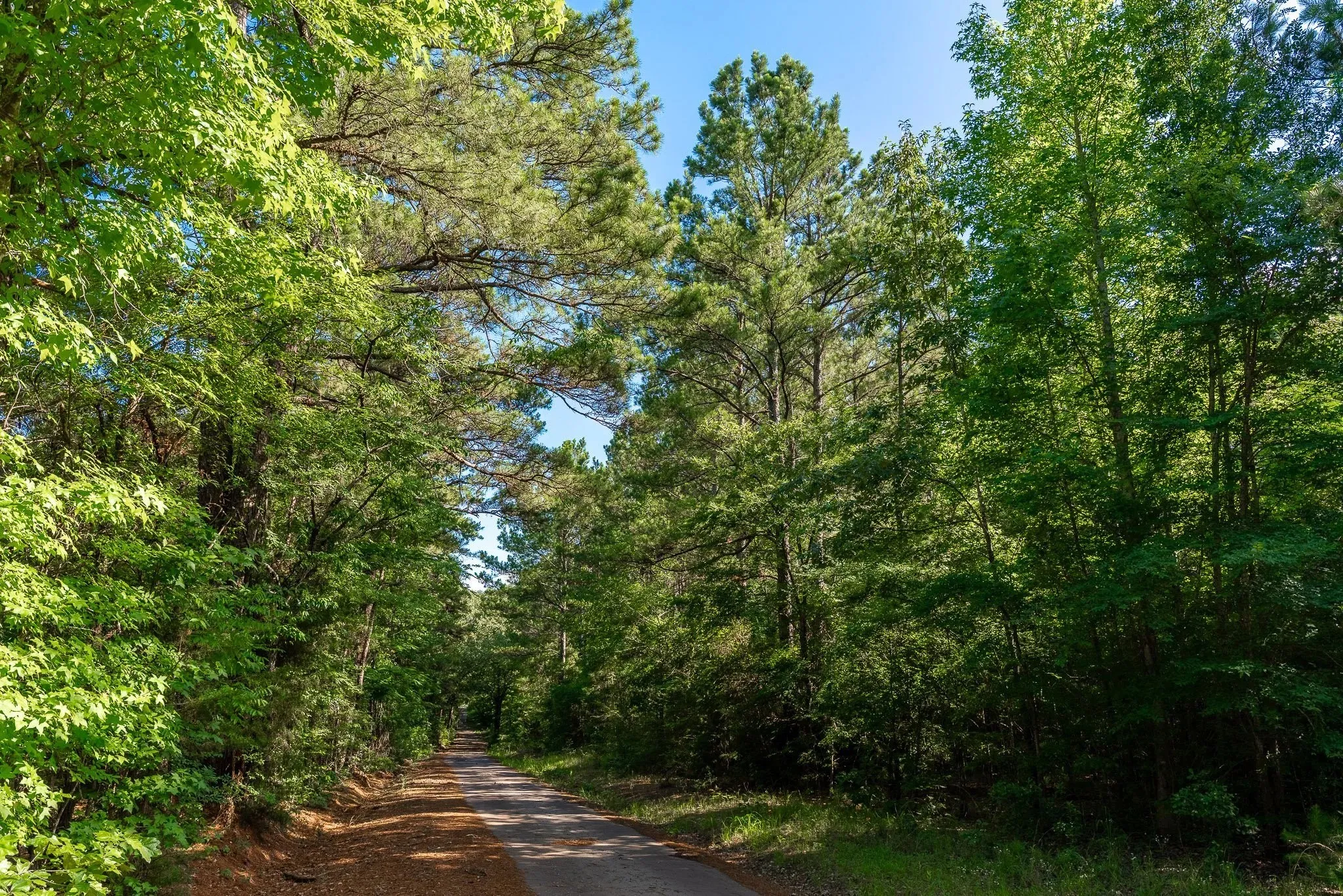Unimproved Land For Sale in Rusk County , na CR 2137 D, Tatum, Texas 75961, 0, 0, Garage spaces, 0 Sqft, built in 0, mls#21300104, Real Estate Agent in Tatum, Homes For Sale in Rusk county, Homes For Sale in Tatum, Realtor in Tatum Texas, Real Estate Brokerage Independent Realty Texas, Luminita Cordes Realtor