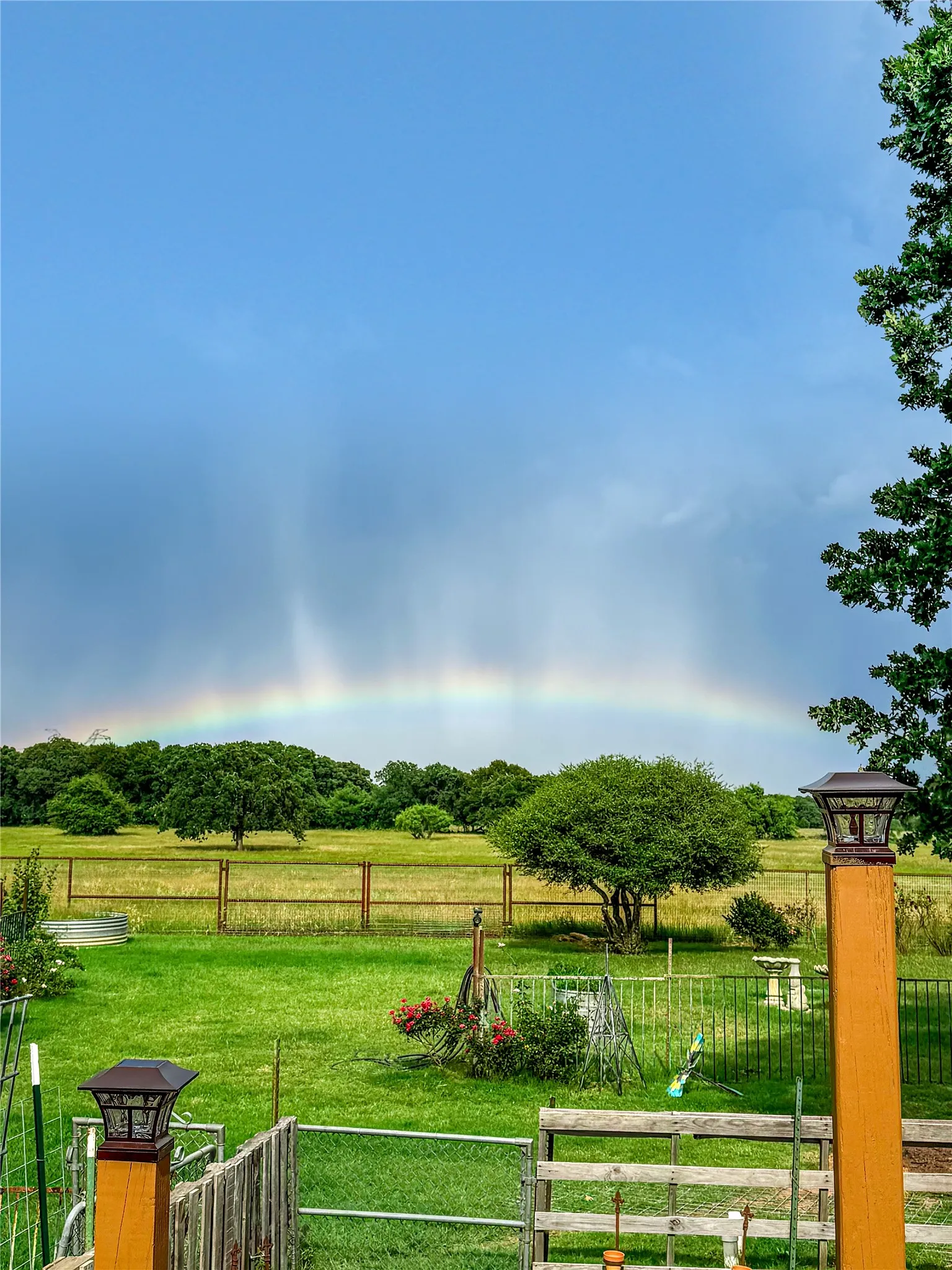View from front door.