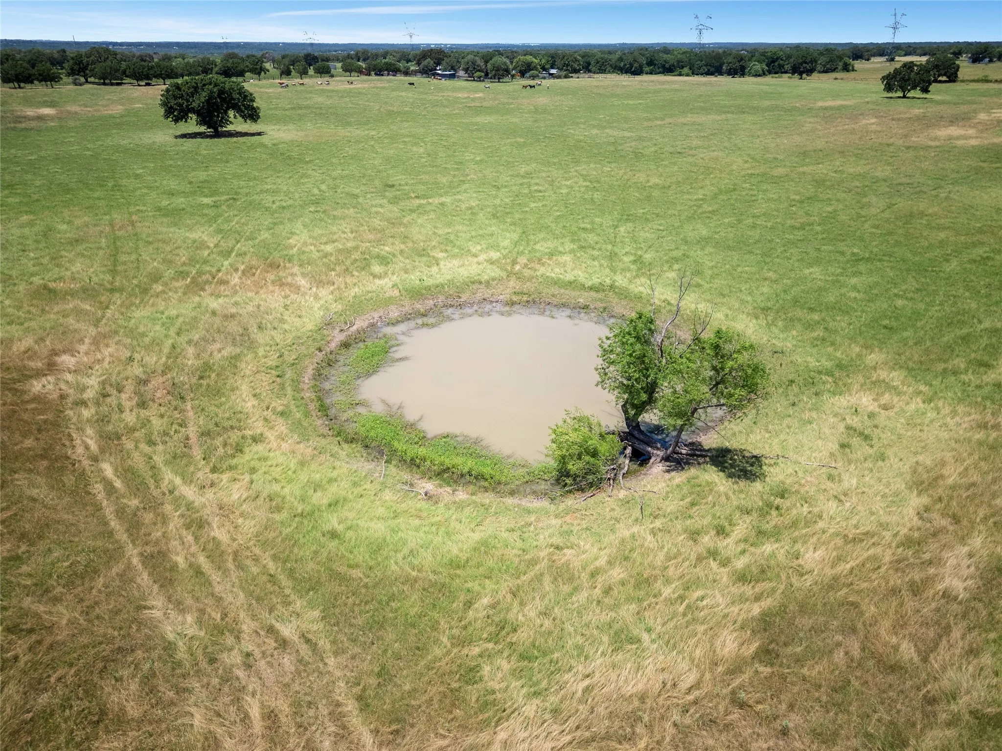 one of 4 ponds