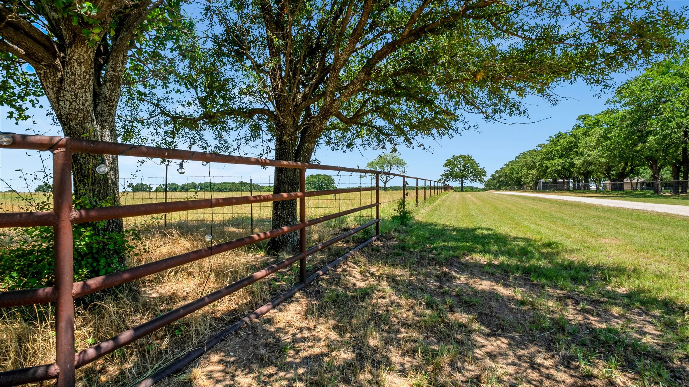 Improved Land For Sale in Wise County , 198 Private Road 1648 Road, Chico, Texas 76431, 0, 0, Garage spaces, 0 Sqft, built in 0, Price $1,675,000, mls#21297713, Real Estate Agent in Chico, Homes For Sale in Wise county, Homes For Sale in Chico, Realtor in Chico Texas, Real Estate Brokerage Independent Realty Texas, Luminita Cordes Realtor
