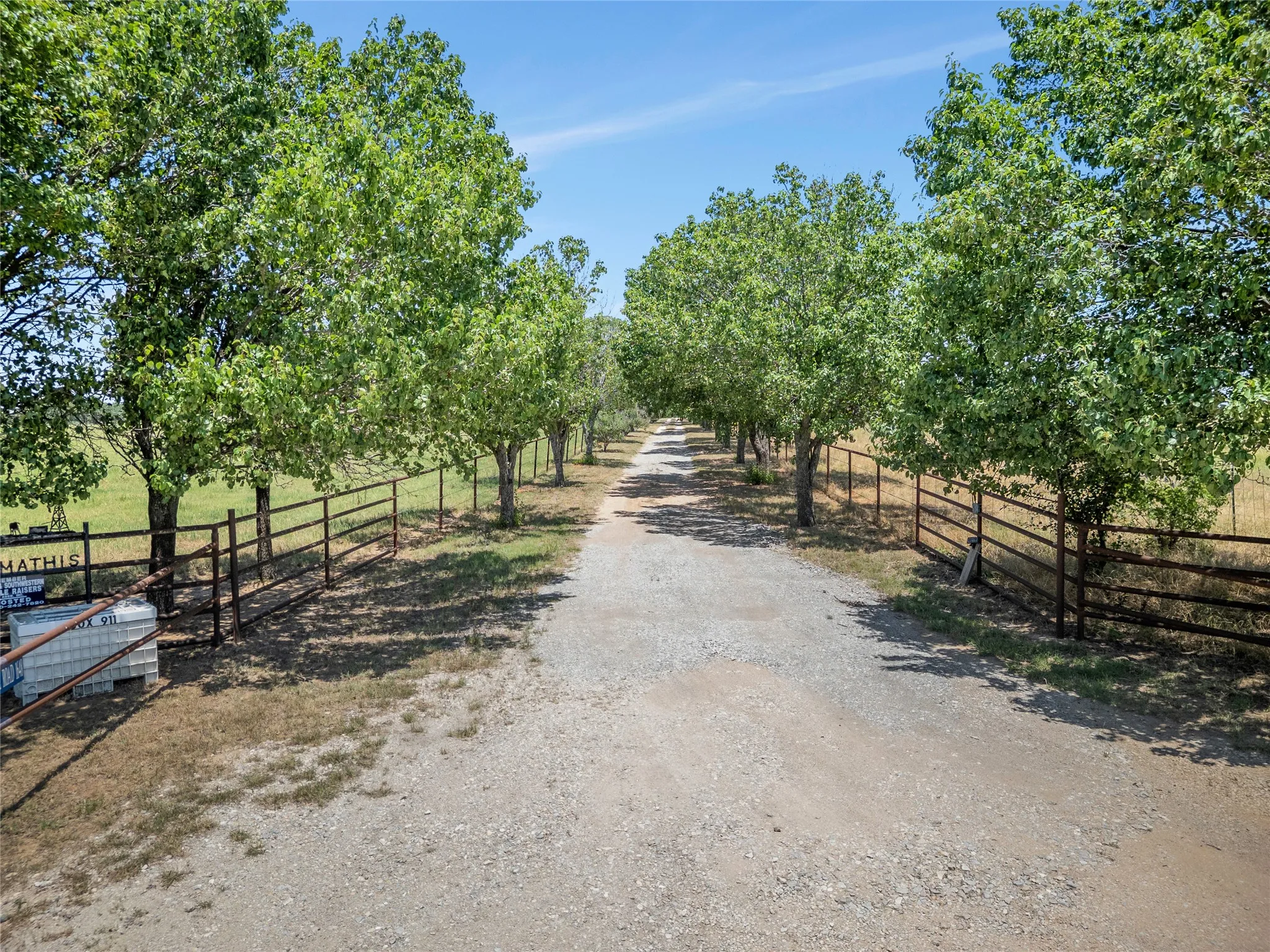 tree lined lane to home