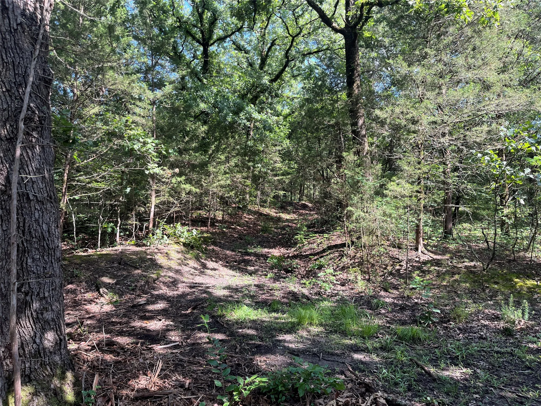 Unimproved Land For Sale in Fannin County , 9999 Fm 409, Monkstown, Texas 75446, 0, 0, Garage spaces, 0 Sqft, built in 0, mls#21299482, Real Estate Agent in Monkstown, Homes For Sale in Fannin county, Homes For Sale in Monkstown, Realtor in Monkstown Texas, Real Estate Brokerage Independent Realty Texas, Luminita Cordes Realtor