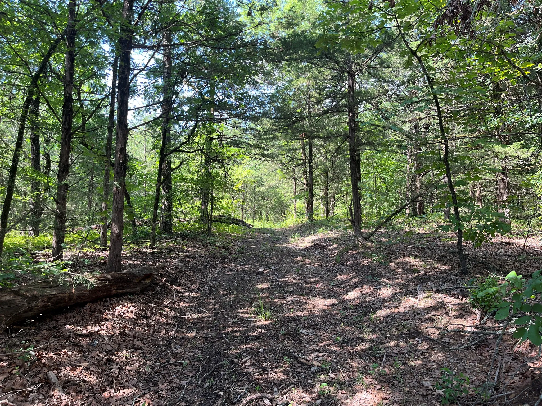 Unimproved Land For Sale in Fannin County , 9999 Fm 409, Monkstown, Texas 75446, 0, 0, Garage spaces, 0 Sqft, built in 0, mls#21299482, Real Estate Agent in Monkstown, Homes For Sale in Fannin county, Homes For Sale in Monkstown, Realtor in Monkstown Texas, Real Estate Brokerage Independent Realty Texas, Luminita Cordes Realtor