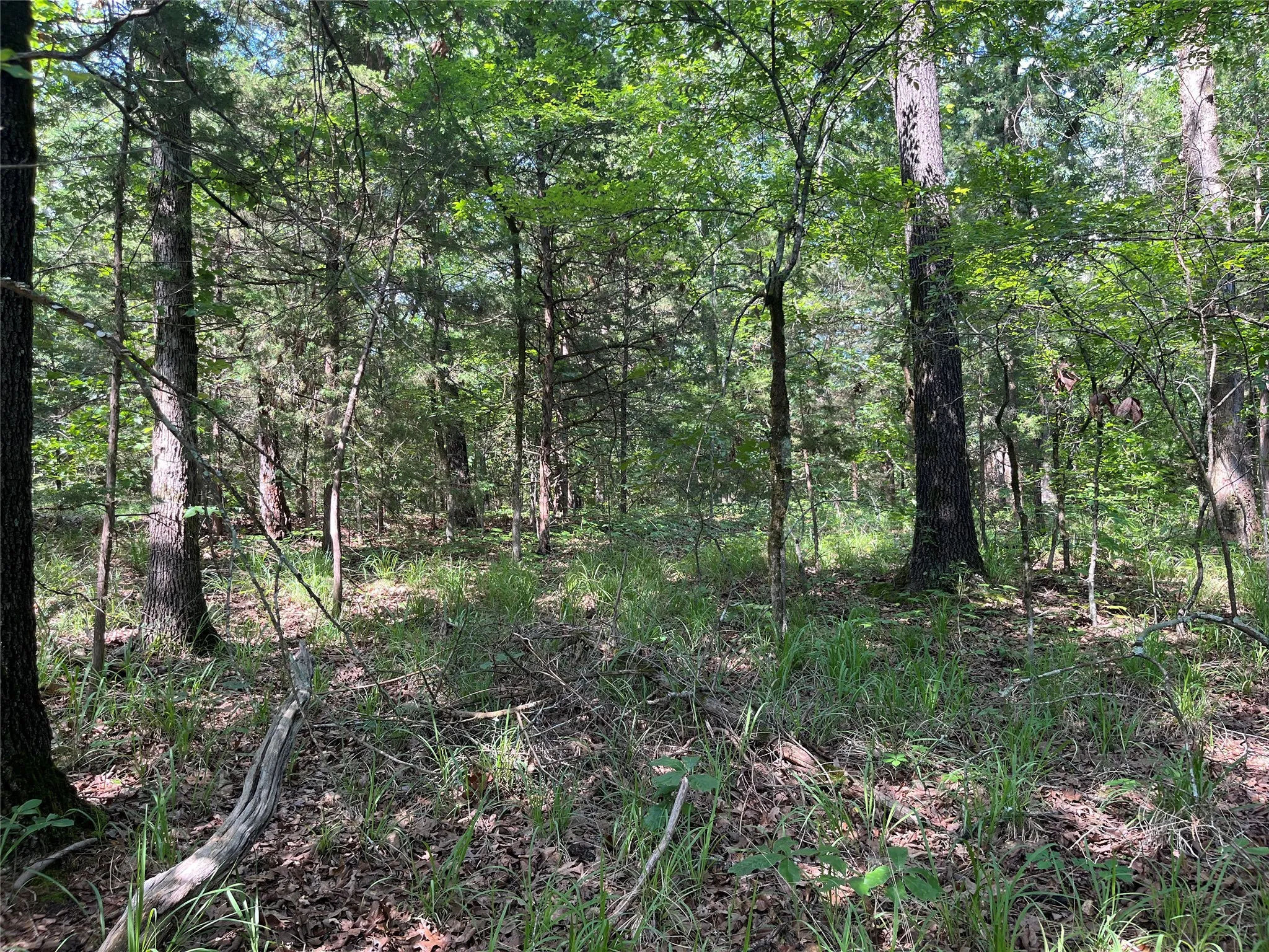 Unimproved Land For Sale in Fannin County , 9999 Fm 409, Monkstown, Texas 75446, 0, 0, Garage spaces, 0 Sqft, built in 0, mls#21299482, Real Estate Agent in Monkstown, Homes For Sale in Fannin county, Homes For Sale in Monkstown, Realtor in Monkstown Texas, Real Estate Brokerage Independent Realty Texas, Luminita Cordes Realtor