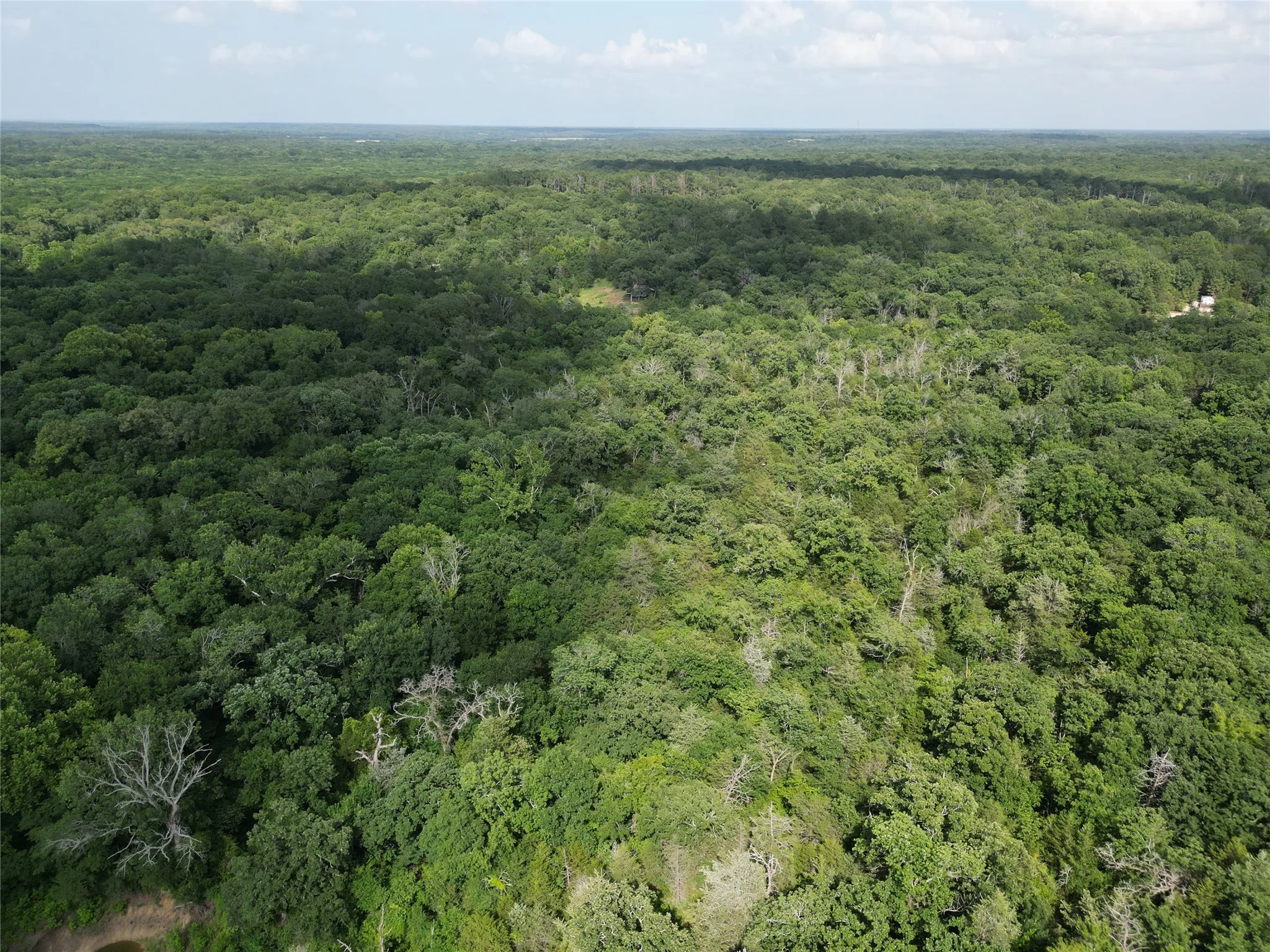 Unimproved Land For Sale in Fannin County , 9999 Fm 409, Monkstown, Texas 75446, 0, 0, Garage spaces, 0 Sqft, built in 0, mls#21299482, Real Estate Agent in Monkstown, Homes For Sale in Fannin county, Homes For Sale in Monkstown, Realtor in Monkstown Texas, Real Estate Brokerage Independent Realty Texas, Luminita Cordes Realtor