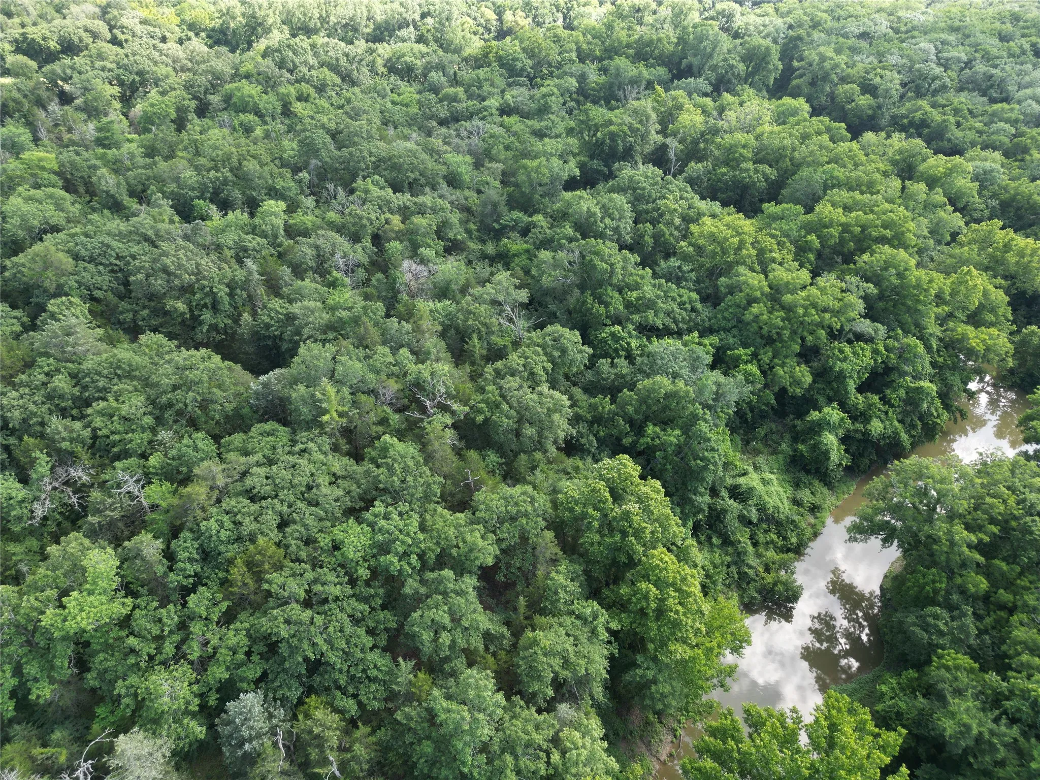 Unimproved Land For Sale in Fannin County , 9999 Fm 409, Monkstown, Texas 75446, 0, 0, Garage spaces, 0 Sqft, built in 0, mls#21299482, Real Estate Agent in Monkstown, Homes For Sale in Fannin county, Homes For Sale in Monkstown, Realtor in Monkstown Texas, Real Estate Brokerage Independent Realty Texas, Luminita Cordes Realtor