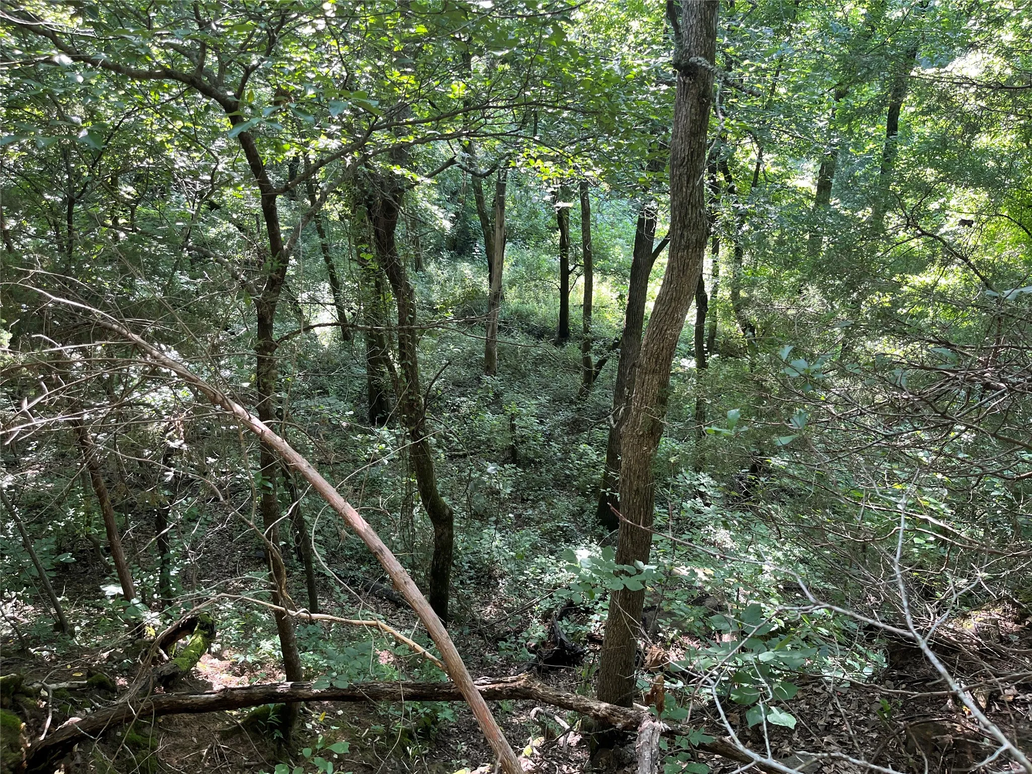 Unimproved Land For Sale in Fannin County , 9999 Fm 409, Monkstown, Texas 75446, 0, 0, Garage spaces, 0 Sqft, built in 0, mls#21299482, Real Estate Agent in Monkstown, Homes For Sale in Fannin county, Homes For Sale in Monkstown, Realtor in Monkstown Texas, Real Estate Brokerage Independent Realty Texas, Luminita Cordes Realtor