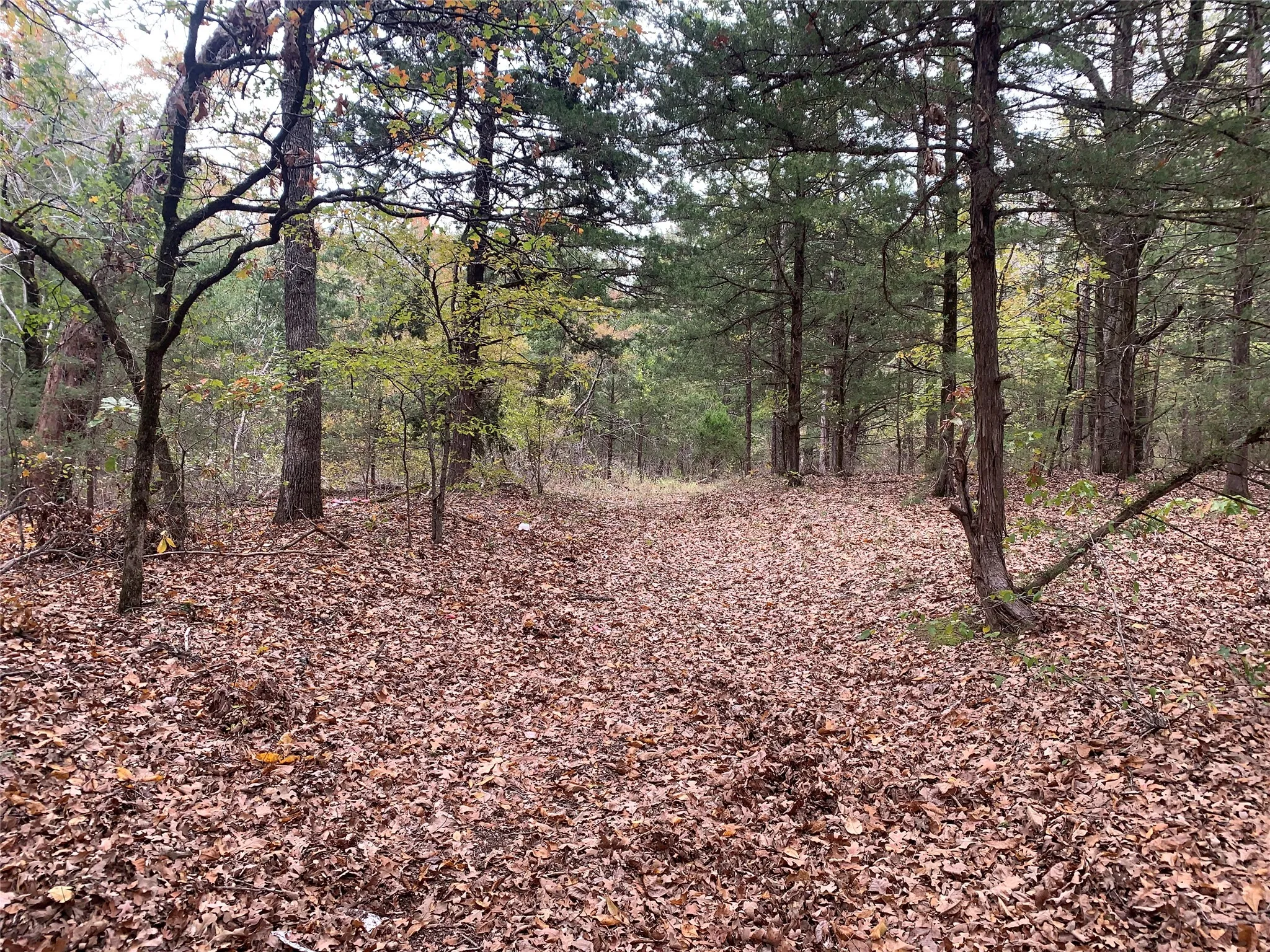 Unimproved Land For Sale in Fannin County , 9999 Fm 409, Monkstown, Texas 75446, 0, 0, Garage spaces, 0 Sqft, built in 0, mls#21299482, Real Estate Agent in Monkstown, Homes For Sale in Fannin county, Homes For Sale in Monkstown, Realtor in Monkstown Texas, Real Estate Brokerage Independent Realty Texas, Luminita Cordes Realtor