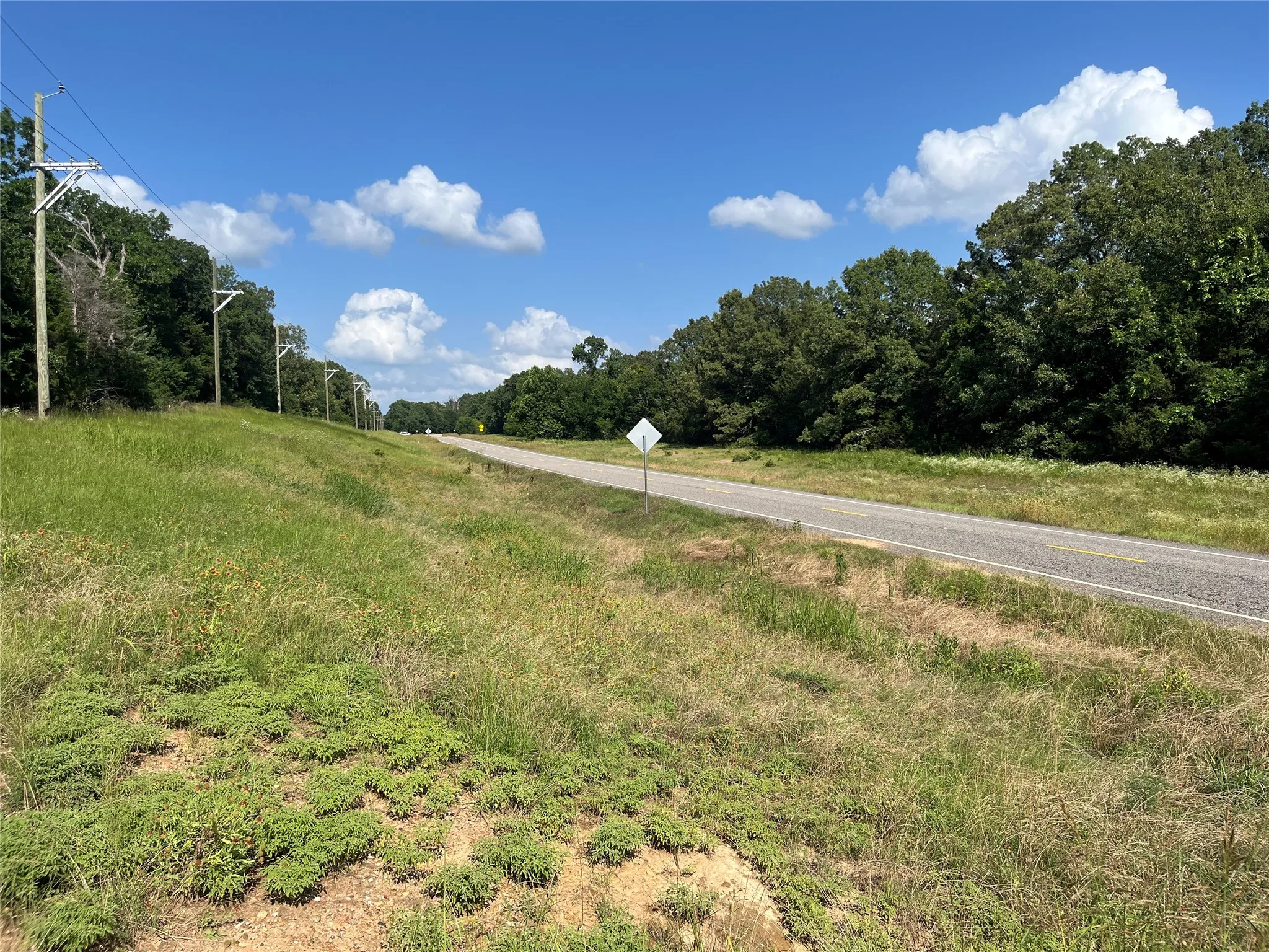 Unimproved Land For Sale in Fannin County , 9999 Fm 409, Monkstown, Texas 75446, 0, 0, Garage spaces, 0 Sqft, built in 0, mls#21299482, Real Estate Agent in Monkstown, Homes For Sale in Fannin county, Homes For Sale in Monkstown, Realtor in Monkstown Texas, Real Estate Brokerage Independent Realty Texas, Luminita Cordes Realtor