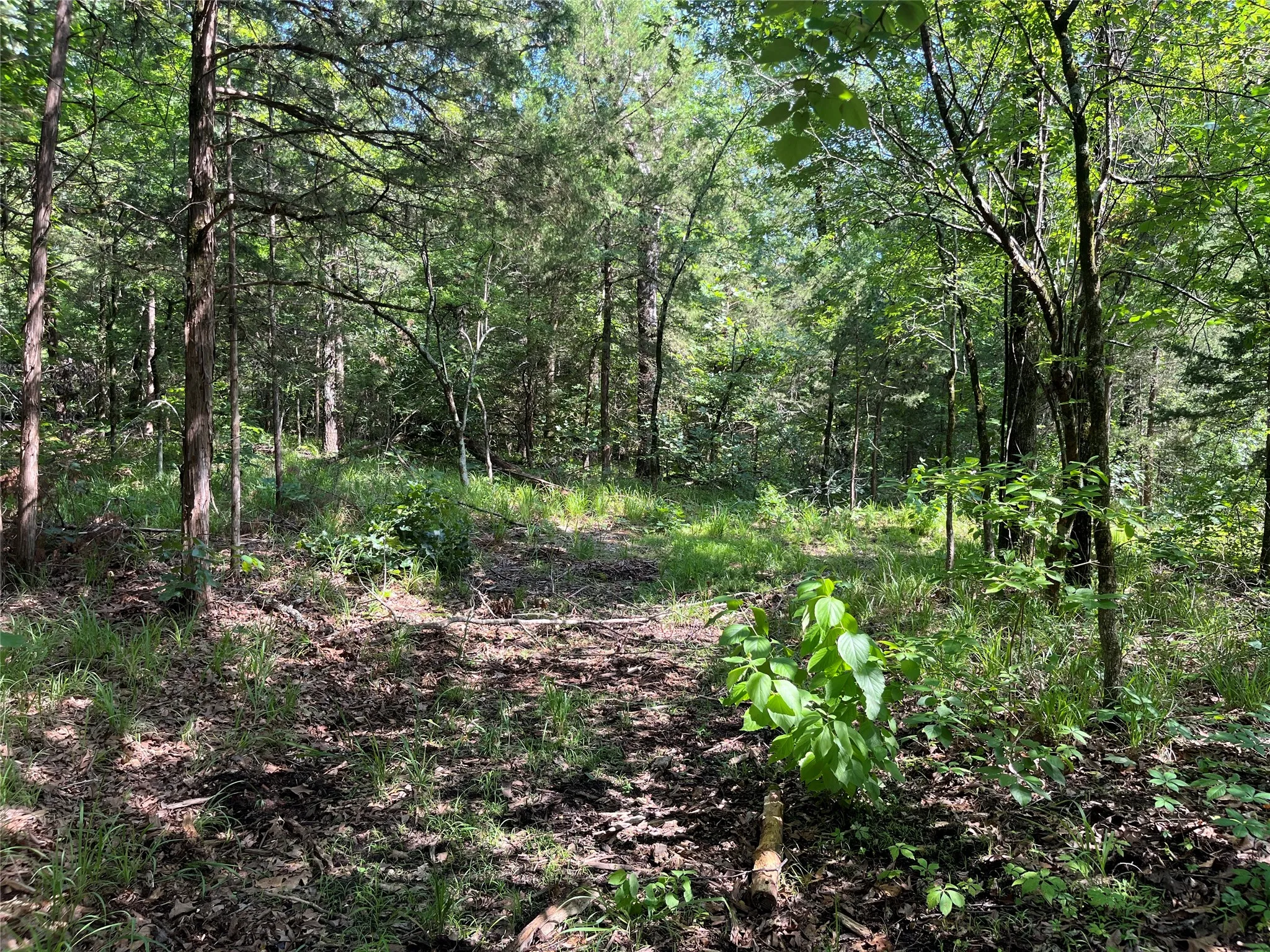 Unimproved Land For Sale in Fannin County , 9999 Fm 409, Monkstown, Texas 75446, 0, 0, Garage spaces, 0 Sqft, built in 0, mls#21299482, Real Estate Agent in Monkstown, Homes For Sale in Fannin county, Homes For Sale in Monkstown, Realtor in Monkstown Texas, Real Estate Brokerage Independent Realty Texas, Luminita Cordes Realtor